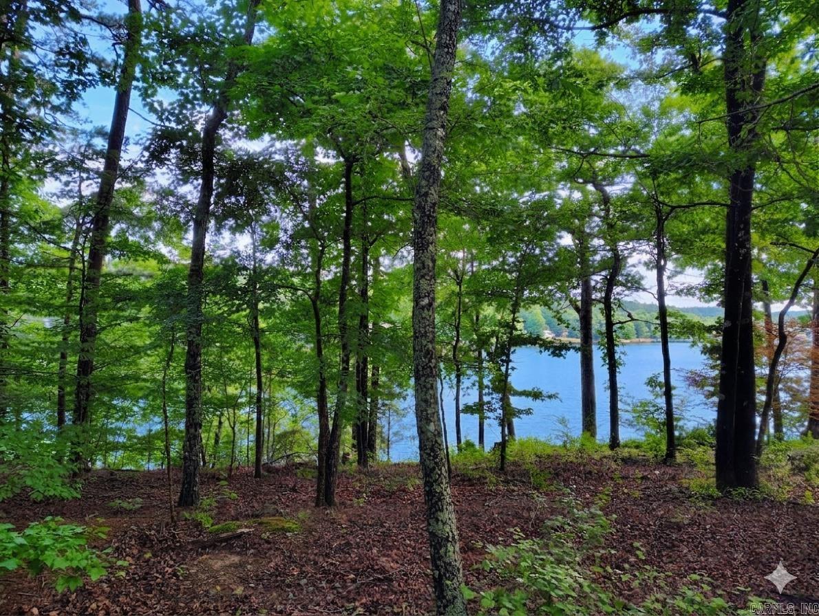 170+ feet of WATERFRONT on Lake Balboa! Spectacular views from this culdesac lot with a seawall already in place! Rare opportunity to build on Hot Springs Village's largest lake (944 Acres)! (2 dark blue water images are Ai generated to show contrast of adjacent photos).