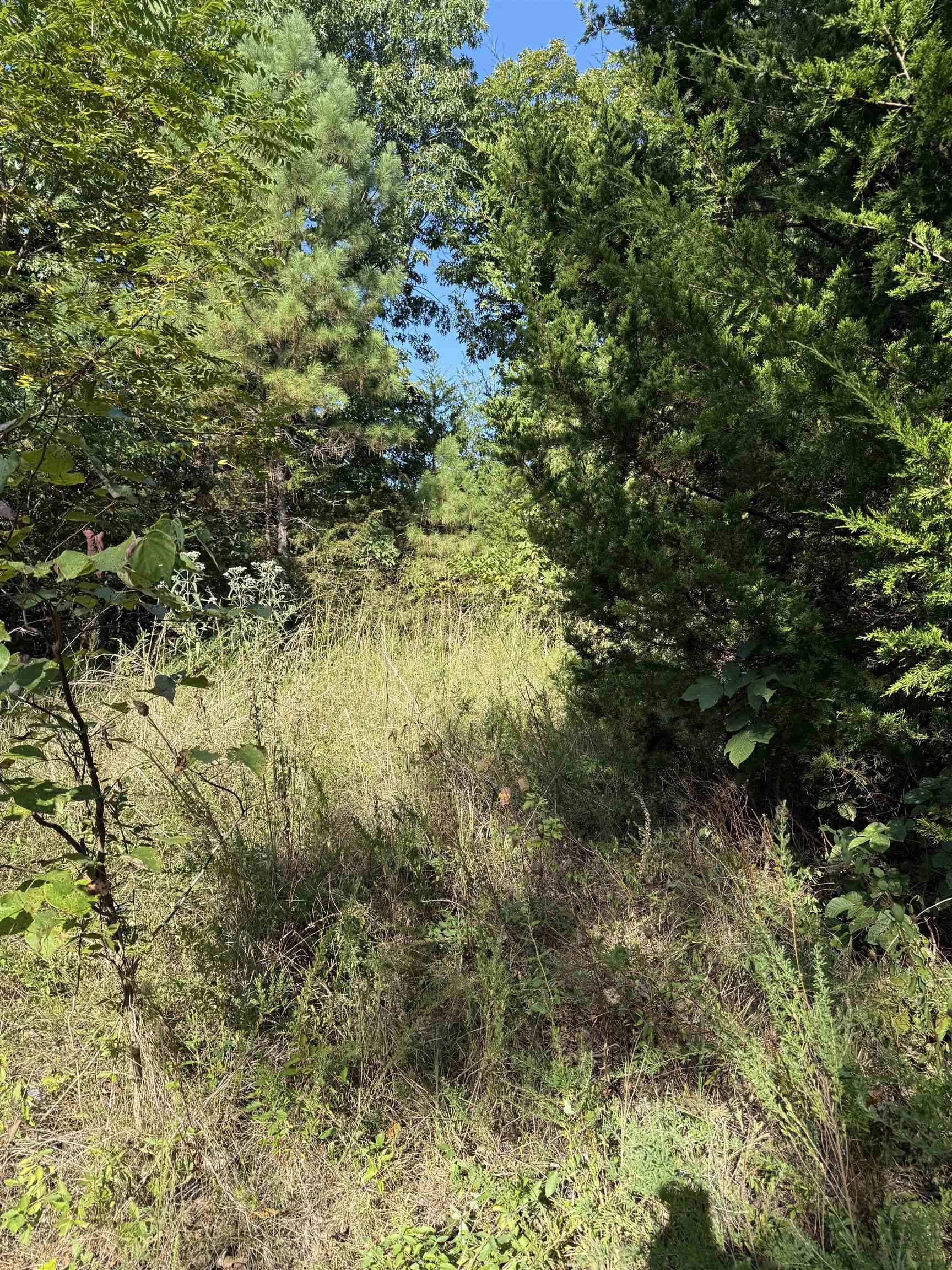 Ready-to-Build lot in established mobile home park!! Bring your manufactured home--or join the tiny home trend--on this level lot thats ready for your next chapter. The property already features a concrete driveway, city water, electricity, and high speed fiber optic interent, so the essentials are in place. Just a bit of brush clean up will open a charming space for your next homesite. Perfect for anyone looking for a low-maintenance parcel of land with modern ultilites. Let's not forget the easy access to the town's amenities. You don't want to miss this affordable opportunity to create your own home base!