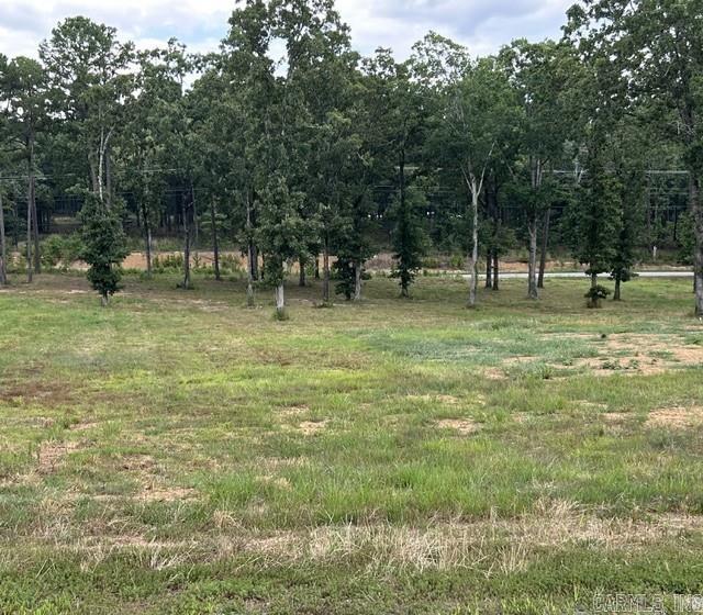 Orchard Hill - Land
