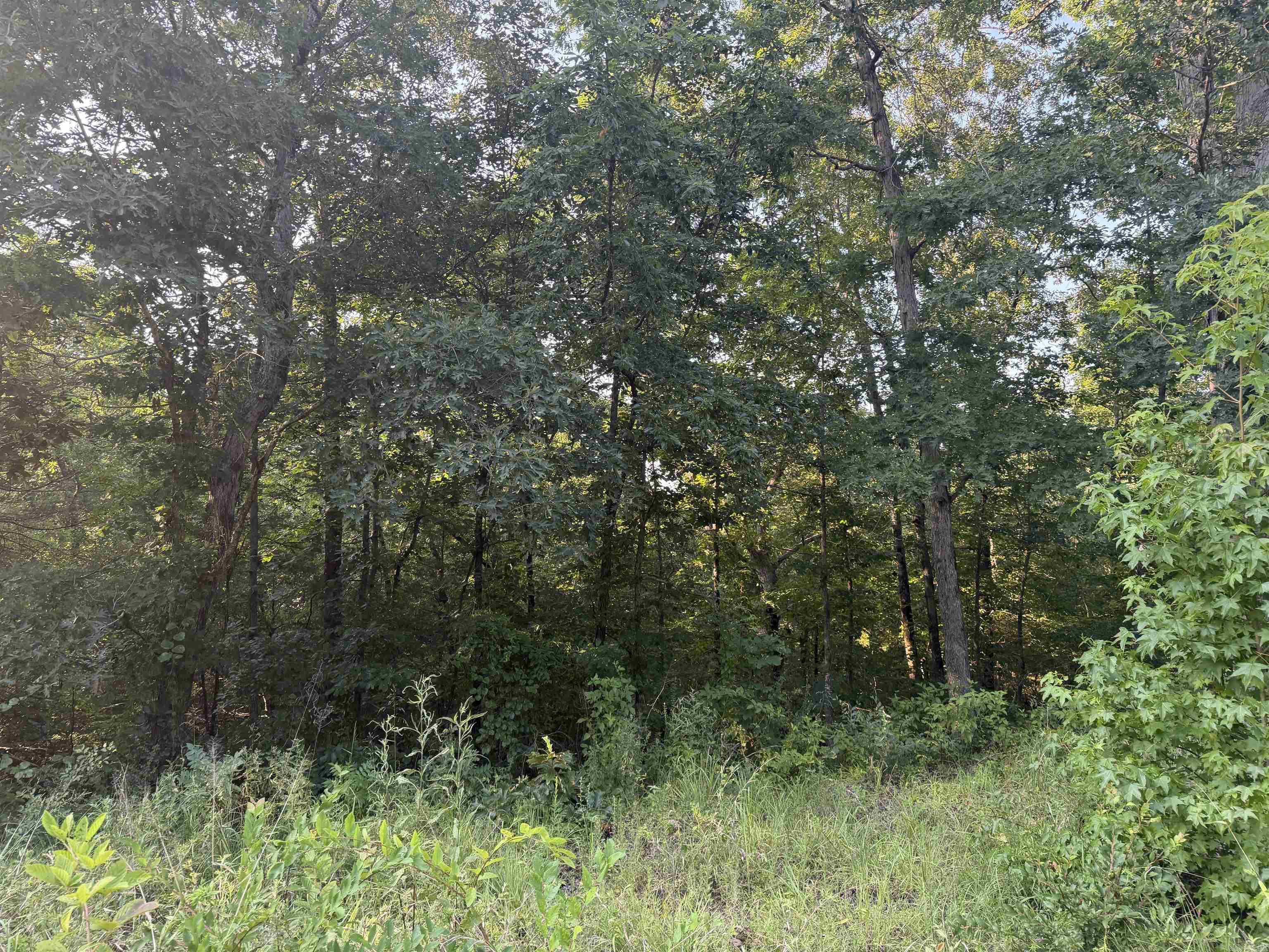 Lake Ridge Estates - Land