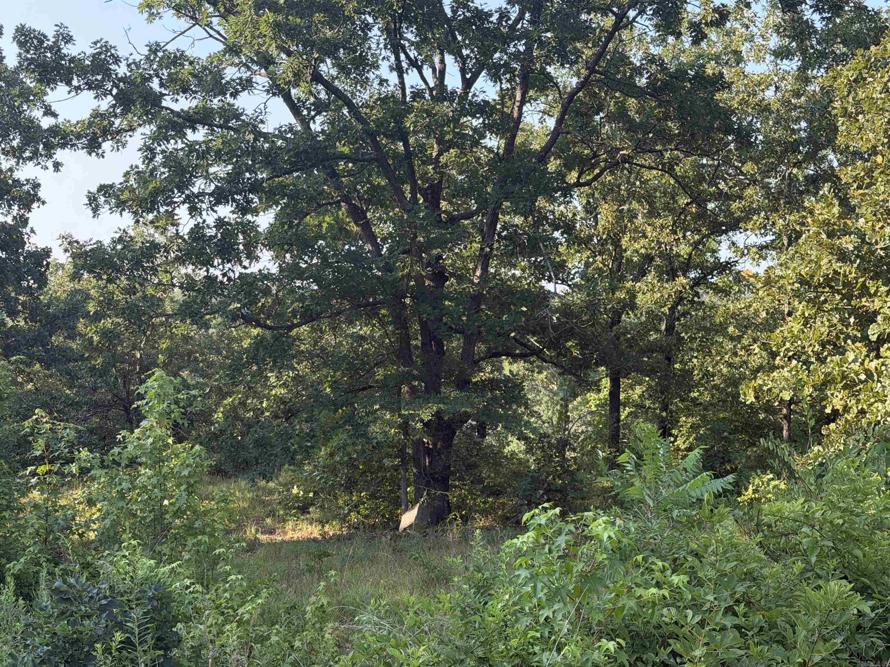 Lake Ridge Estates - Land