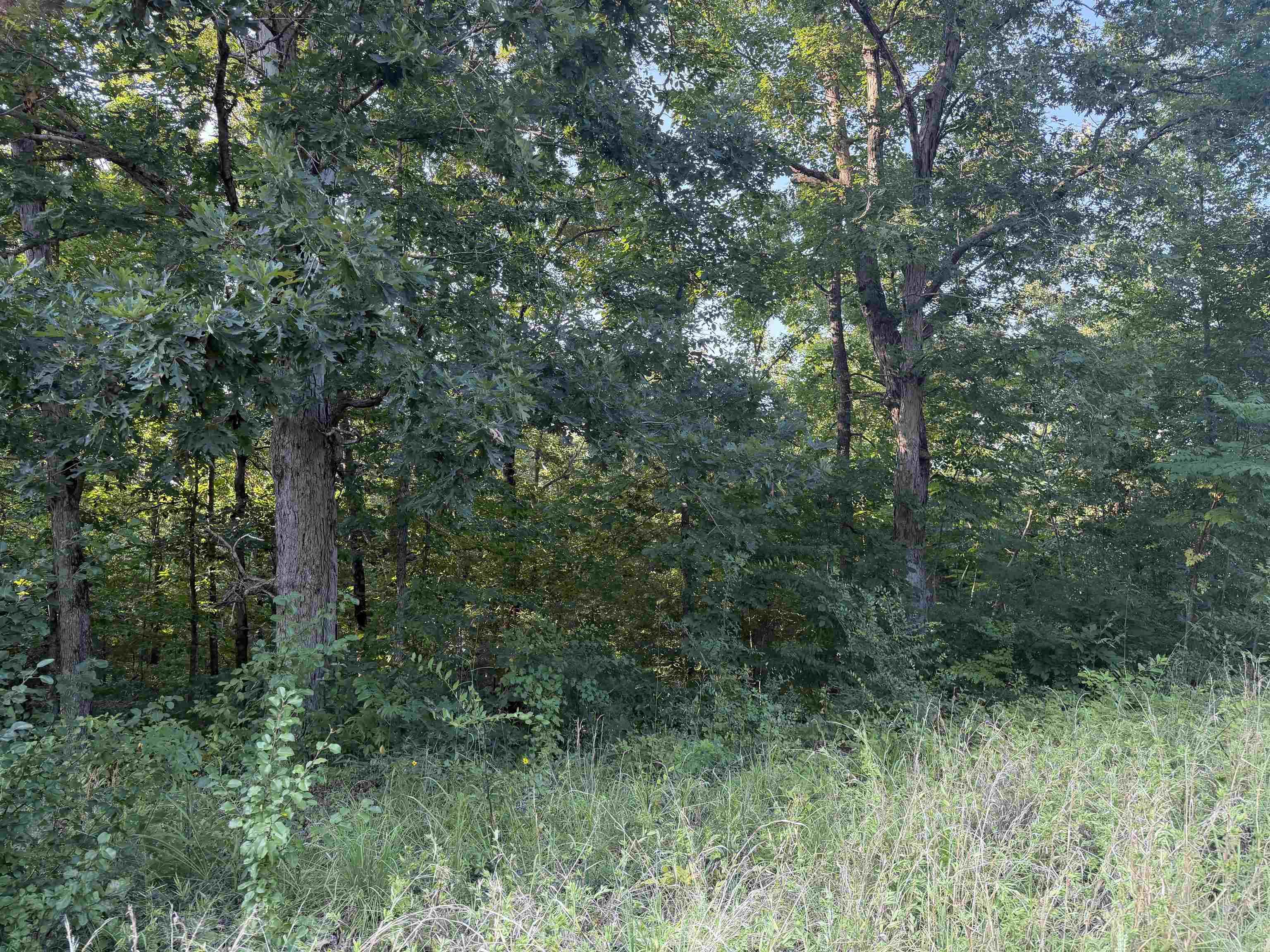 Lake Ridge Estates - Land