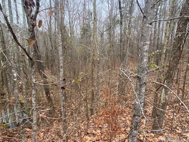 2.66 acre lot in the beautiful Holley Mountain Airpark set in Arkansas's Ozark Mountains. 4800 x 50 Runway, GPS and lighting. Close to Greer Ferry lake with many amenities: biking, swimming, Golf, and fishing to name a few. 15 minutes away from Clinton for shopping, restaurants and Hospital with a helipad. Minutes from Hwy 65 to take a trip to Branson, Missouri. Property is close to gate at park entrance makes for easy excess. Have to see to enjoy the beauty of this Airpark. This is a gated community and will require key for gate access to get in. I can make arrangements.
