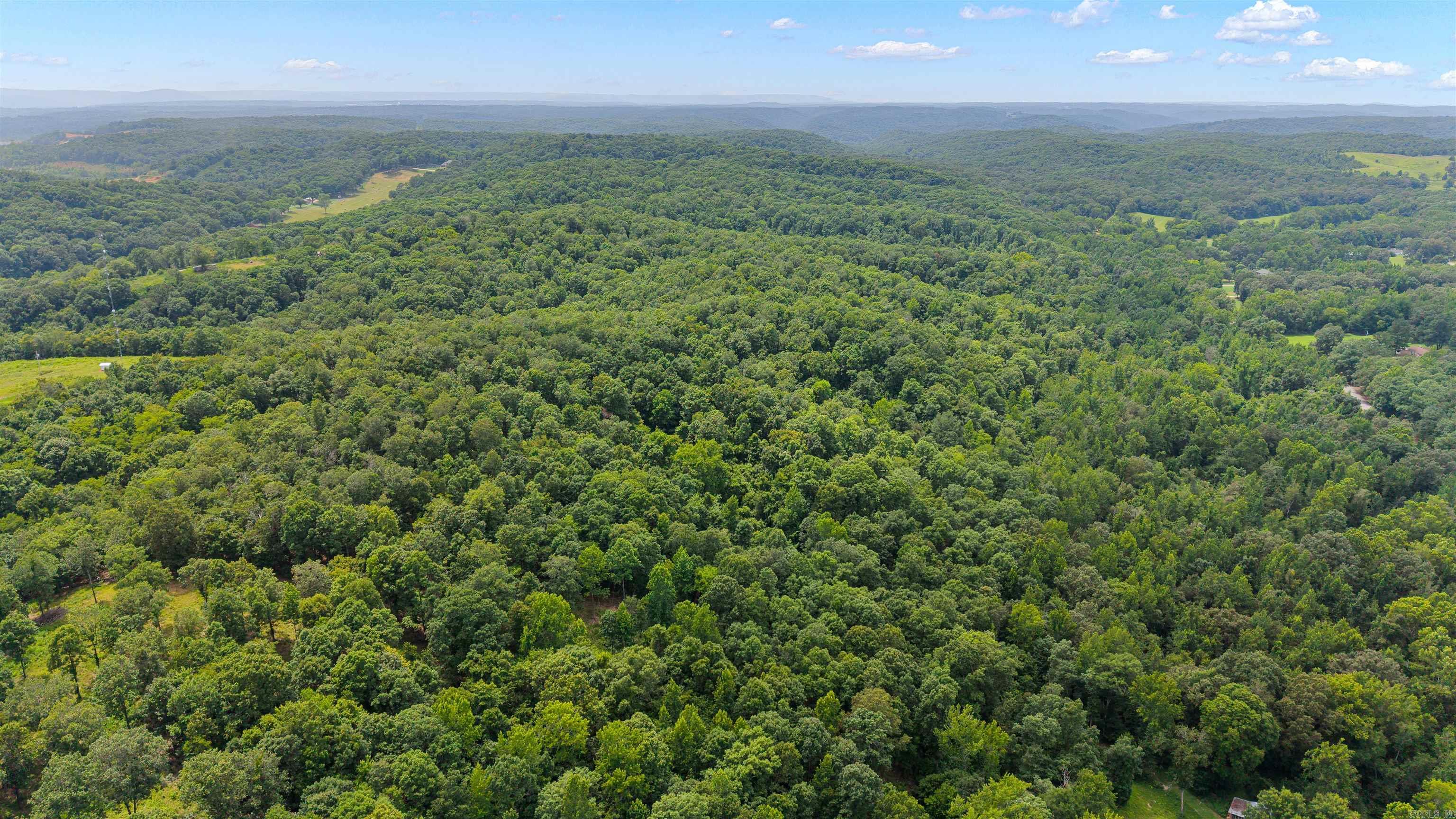 Looking for the perfect hunting property or a private place to escape? This 77± acre tract. Is completely wooded. Excellent habitat for wildlife and endless opportunities for outdoor recreation. Whether you're looking to hunt, hike, invest, or create your own secluded retreat, this property has the privacy and natural beauty you've been searching for. Call Today!!!!