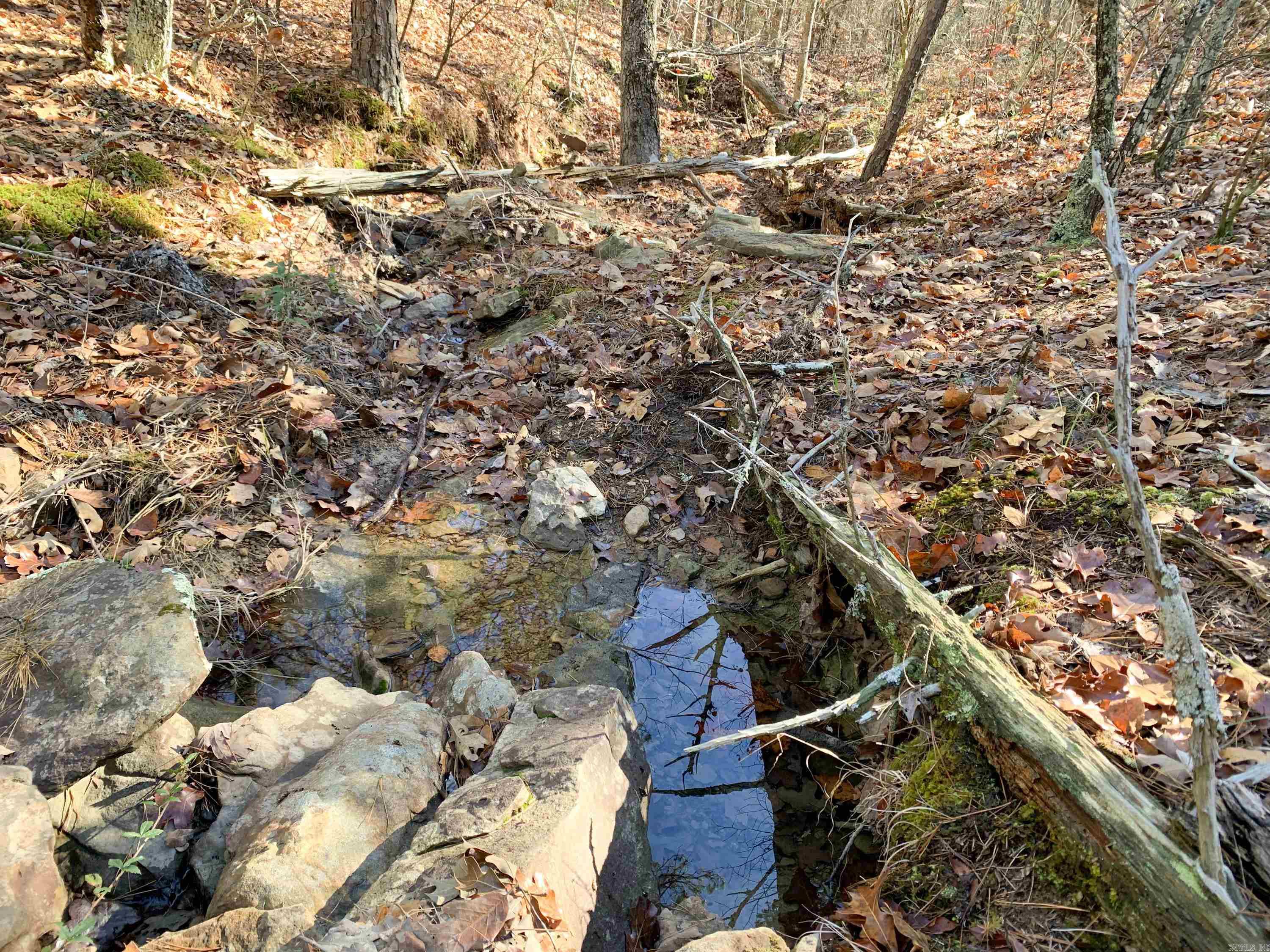 This 34-acre tract of woods offers exceptional peace and seclusion. There is a good mix of evergreen and hardwood trees, with an abundance of wildlife throughout. A beautiful rock-bottom wet-weather creeks winds its way down a small valley. Smattered throughout the property there are bright red Possumhaw berries, Farkleberry trees, and Winged Elms along with towering Blackjack Oaks and Pignut Hickories. Good location, on a quiet dead-end county road, but within 20 minutes of Choctaw Marina on Greers Ferry Lake and only an hour from Grinder's Ferry on the Buffalo National River. Electric and water is at the road.