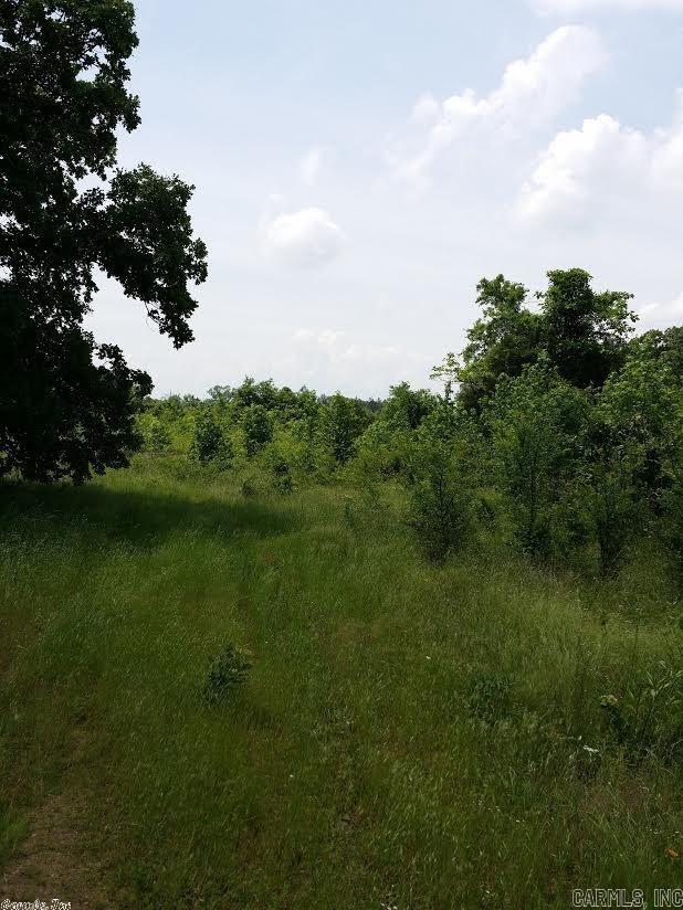 Nice acreage with quick access to Freeway. Excellent exposure for commercial buildings. Close to downtown Russellville! Please contact agent if interested. Seller is motivated to sell!