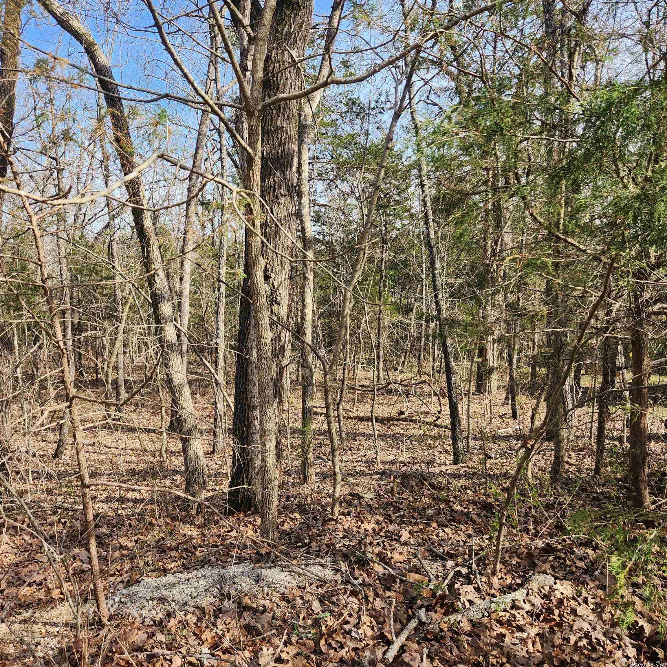 Cree Third - Land