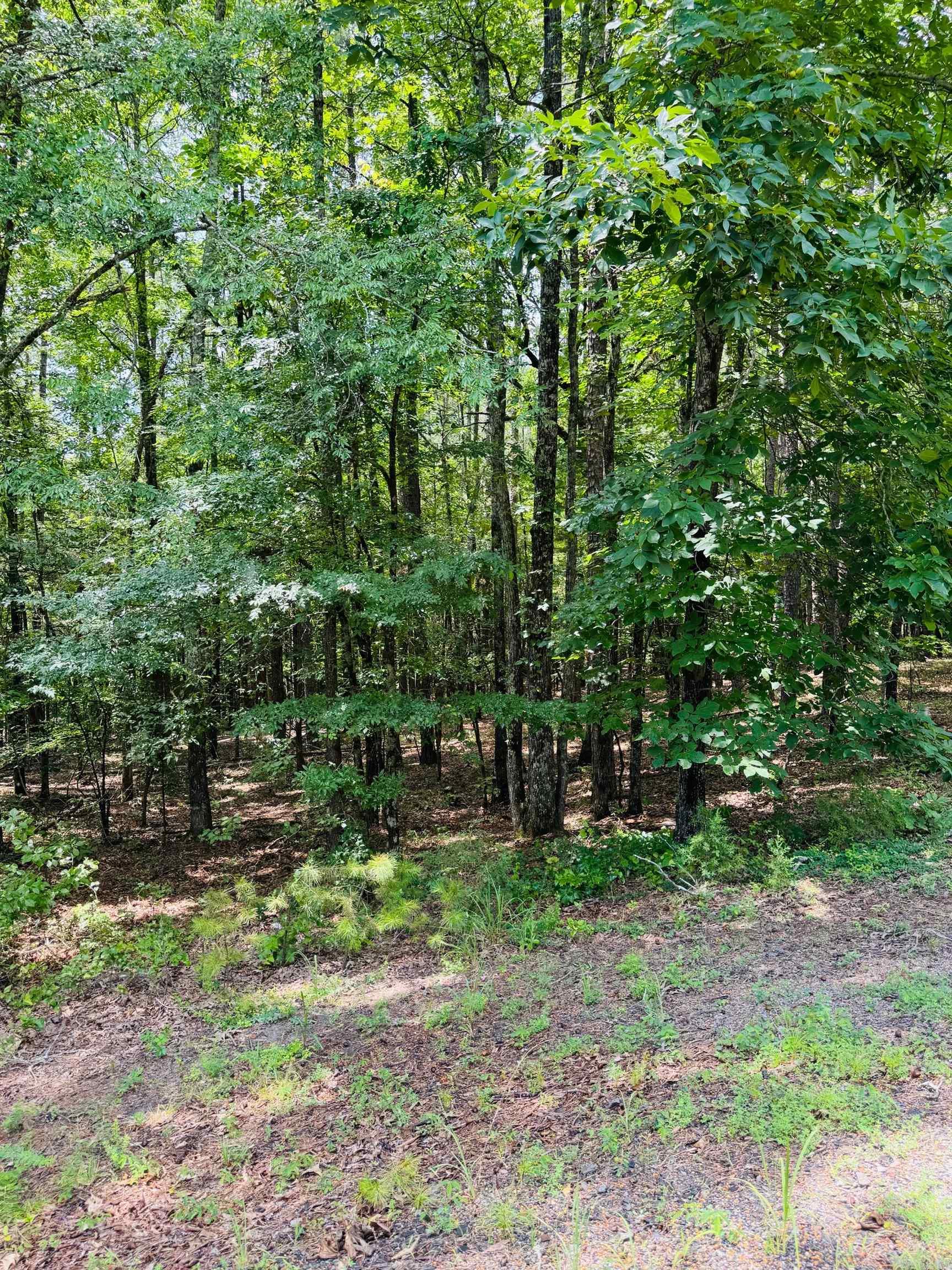 Are you dreaming of retreating to the beautiful Little Red River? This picturesque land is the perfect place to build your cozy dream home. Escape the hustle and enjoy a quiet community that offers a private community pool, boat ramp and dock on the Little Red River and minutes away from Greers Ferry Lake! This gated community offers modern amenities, access to hiking trails, boating, swimming and world-record trout fishing. Access to all the Natural State has to offer is only an offer away. Let us make your dream a reality! This beautiful lot even has a creek view!