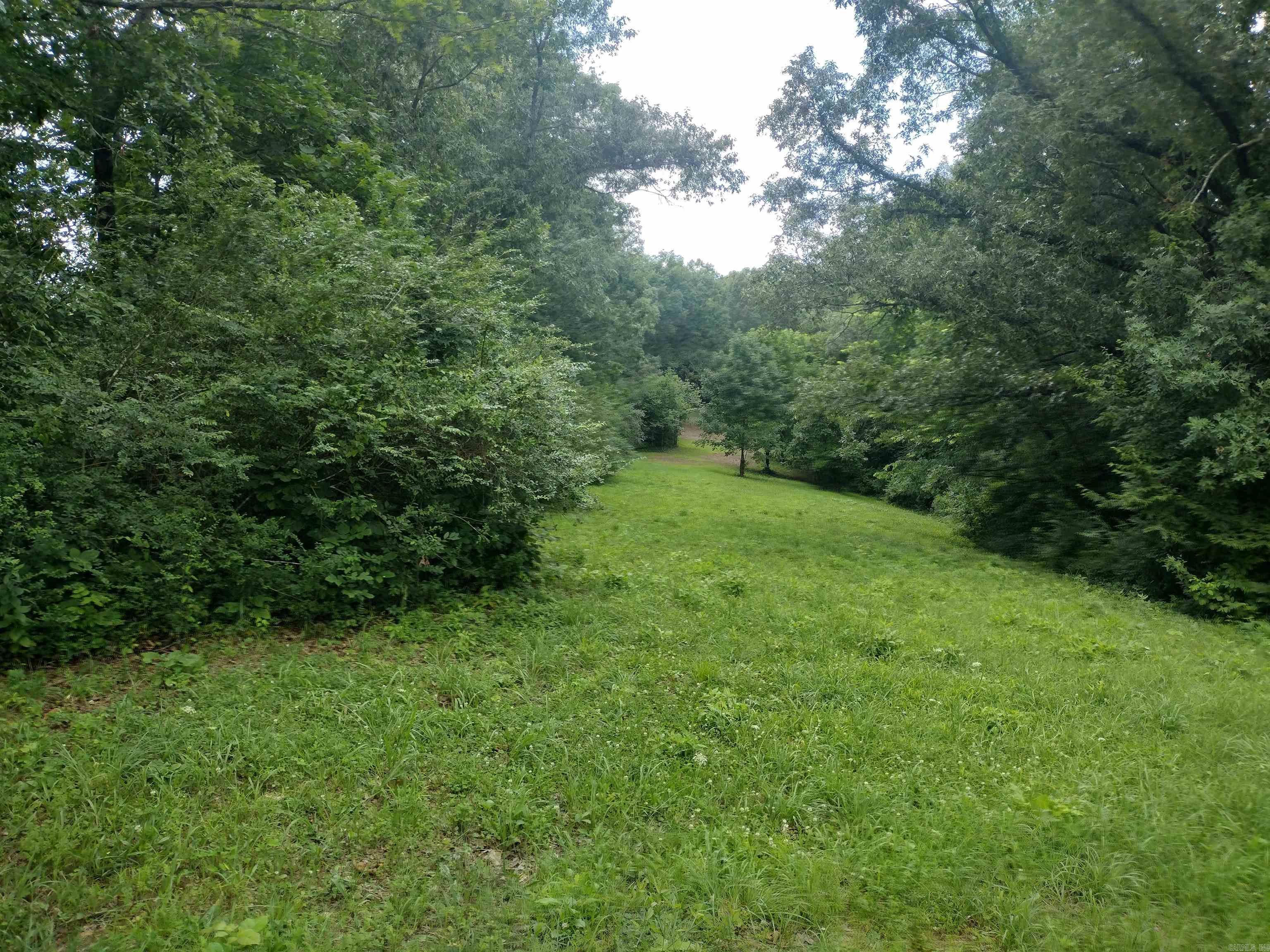 Mitchell Estates - Land