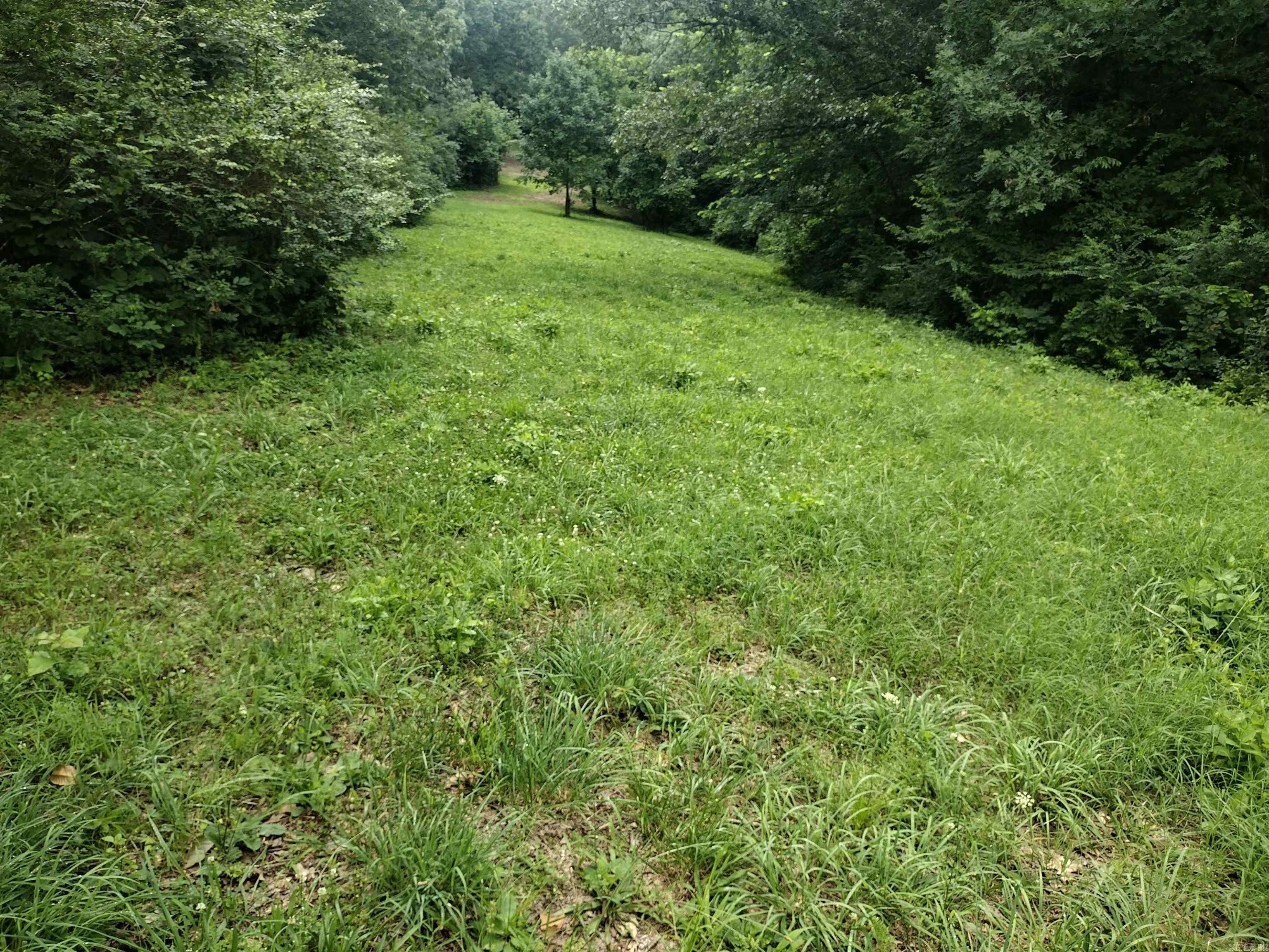 Mitchell Estates - Land