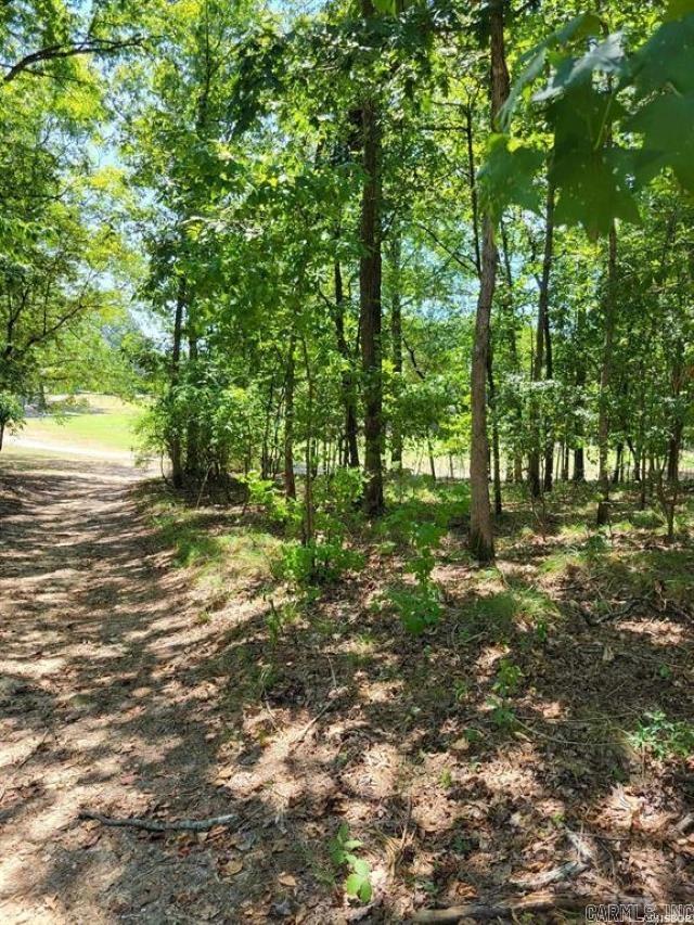 Bring your house plans, your builder, and your golf clubs.  This beautiful golf lot is situated in a quiet, established neighborhood, making it perfect for raising a family.  Utilities are available at the street to this PGA 18-hole golf course lot.  Just minutes away from the hospital, downtown Hot Springs to restaurants & shopping.  Diamondhead is adjacent to Lake Catherine State Park.  The Kiddie Correll is ideal for the young to enjoy.  Also, the tennis & Basketball courts are available. Enjoy your family picnics at the pavilion or dine at the 19th hole restaurant.  Peaceful and tranquil living at its best, with neighbors always willing to lend a helping hand.  There are endless possibilities for relaxation, recreation, and pure bliss that await you in this perfect retreat and forever home.