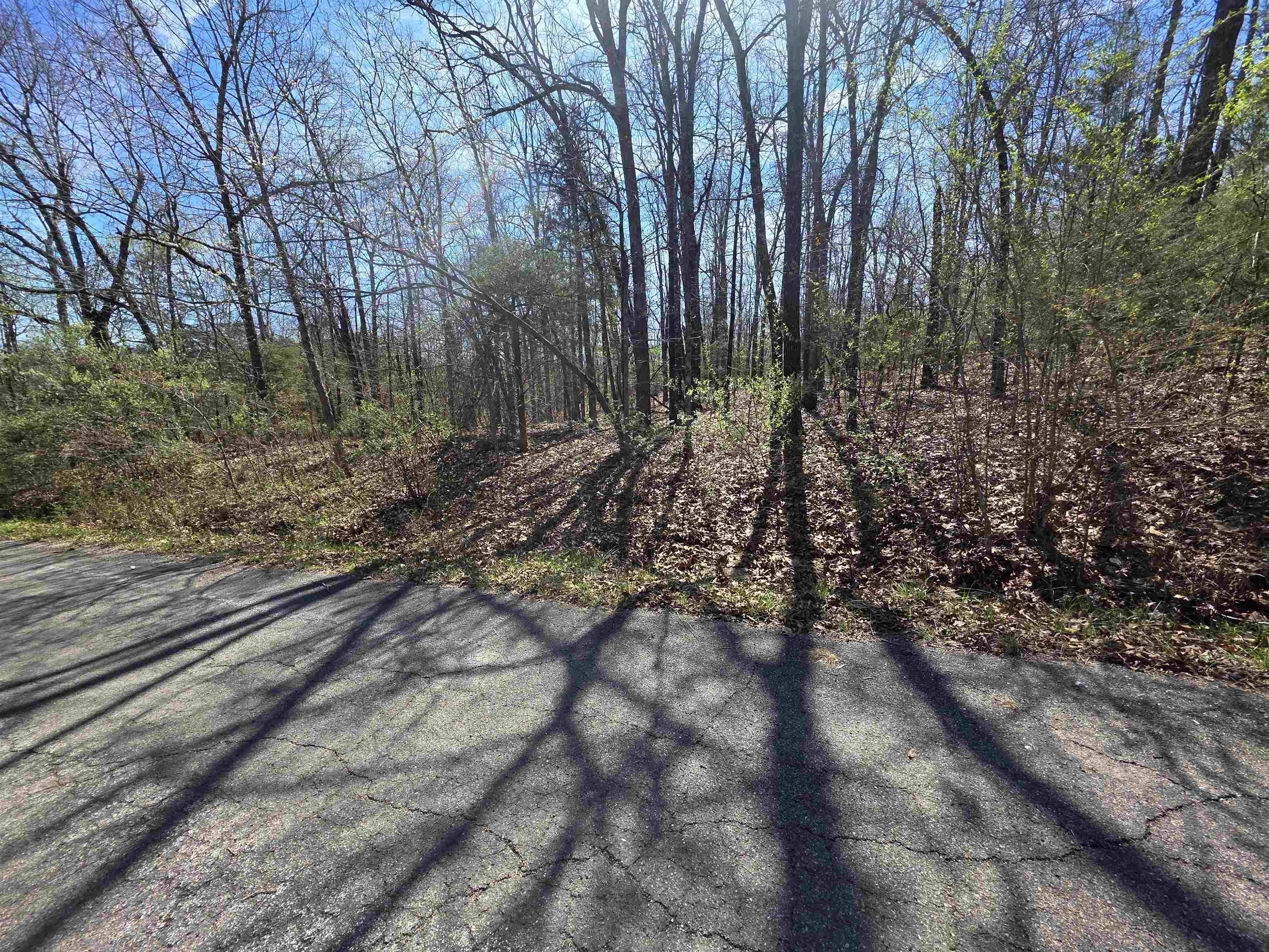 Nice lot with a front to back upward slope. Somewhat secluded but near the front entrance to Cherokee. Lots of trees and lots of nature and wildlife. Come check this lot out, check out the view and see where you want to put your vacation home or your forever home. Retire here and fish 7 different lakes and golf 2 different 18-hole golf courses. Don't forget about the beautiful South Fork River that flows right through the Village. Shop in Old Hardy town and trout fish the Spring River. That's living the Cherokee Village lifestyle.