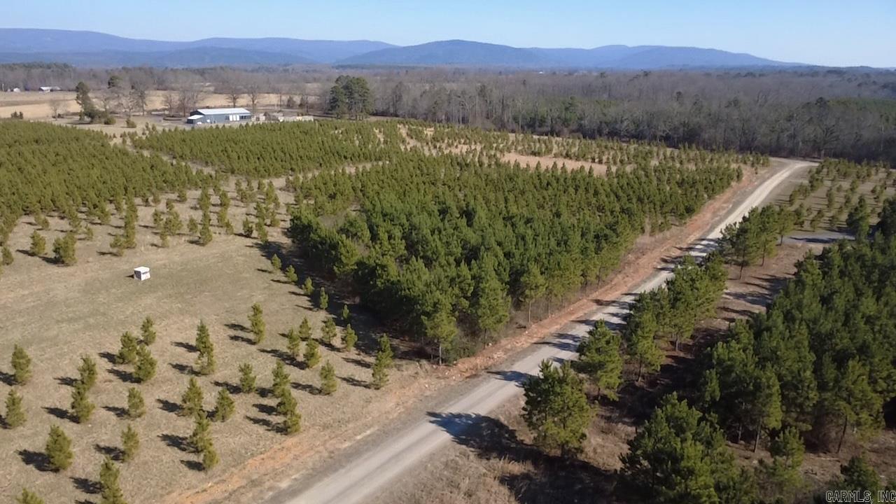 3.01 CLEARED ACRES WITH MOUNTAIN VIEWS NEAR LAKE WILHELMINA! Build your dream home with a view! This 3.01-acre property features a cleared, level building site and beautiful mountain views, all just minutes from Lake Wilhelmina. It’s the perfect blend of scenery, convenience, and build-ready land. Enjoy breathtaking sunsets, fresh mountain air, and endless recreation - mountain views and close to the lake - a rare opportunity!