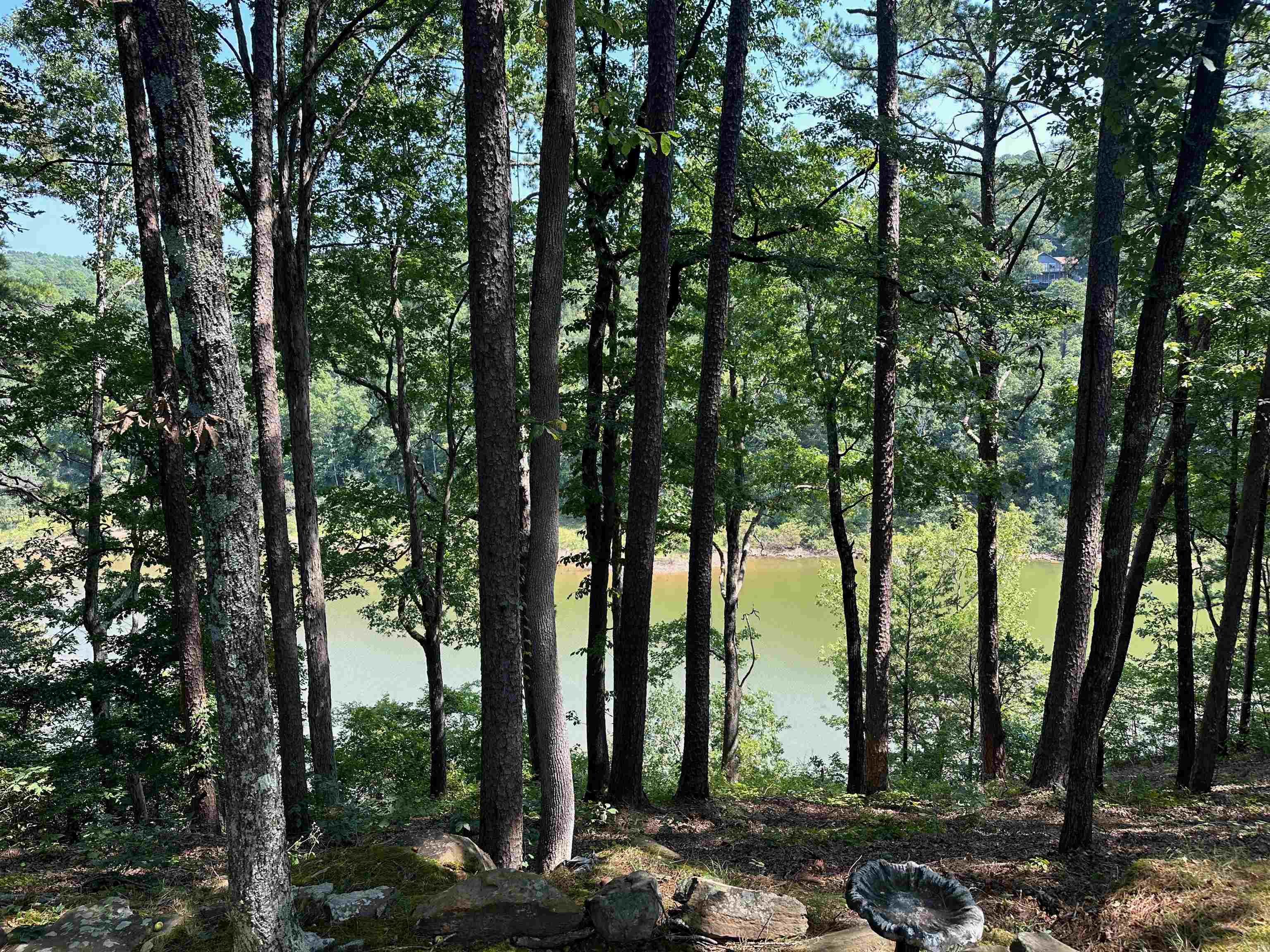 Lakefront, lakeview lot. This is a flat lot that is easy to build on. This parcel is located at the back of Snake Cove/Lynn Creek. Quiet subdivision just 5 minutes or less from marina.  Build your own house and enjoy the lakeview drinking your morning coffee. OWNER/AGENT