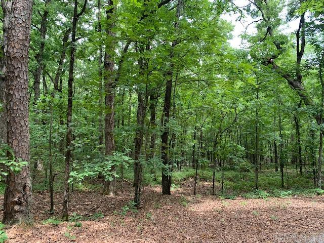 Two beautiful private, unimproved & wooded lots with gentle down slope, in the middle of a mountain top subdivision. The two lots are to be sold together.  These lots will require a well and perc test, as city water isn't present in this subdivision .
