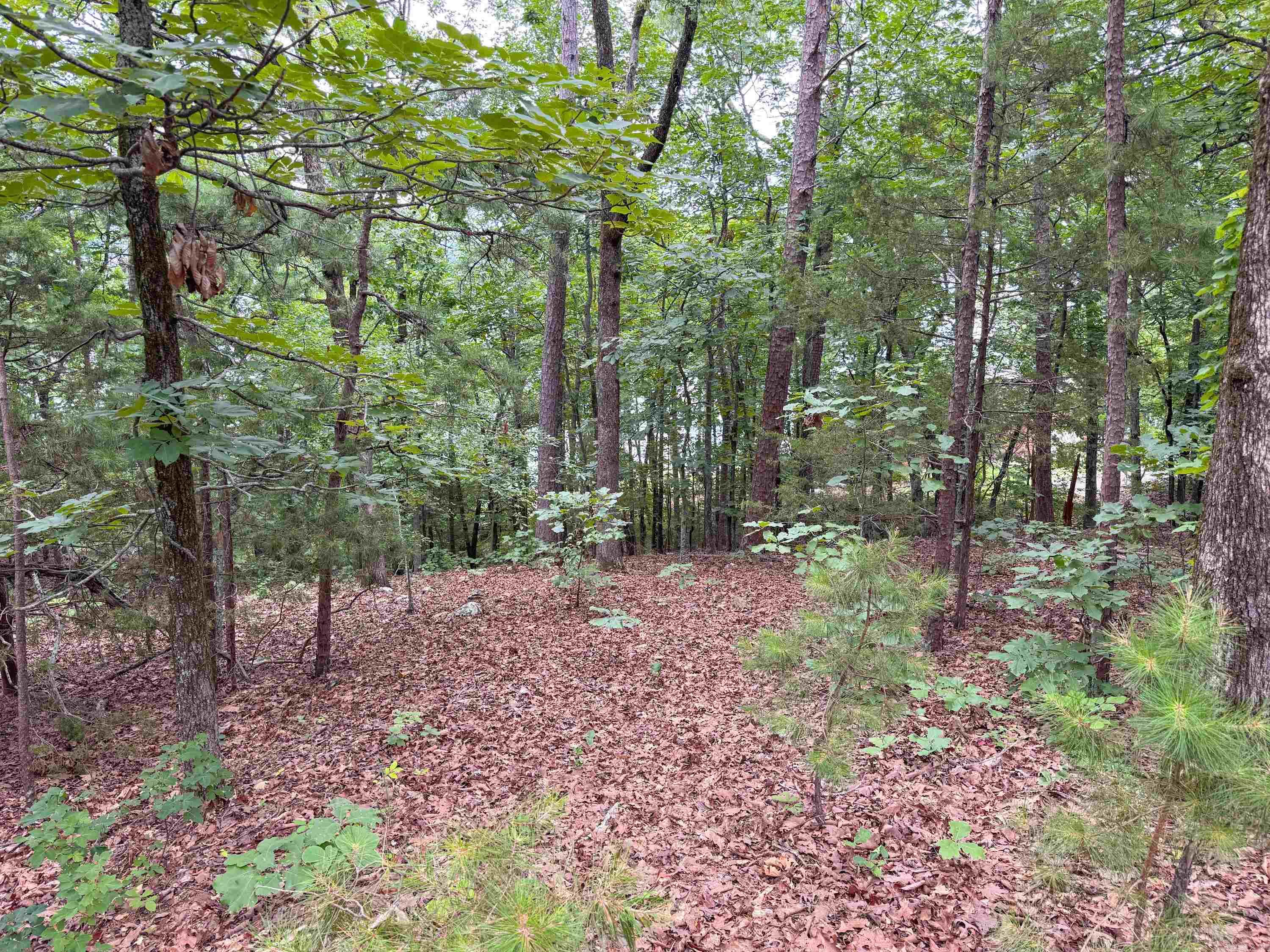Diamond Bluff Lakefront - Land