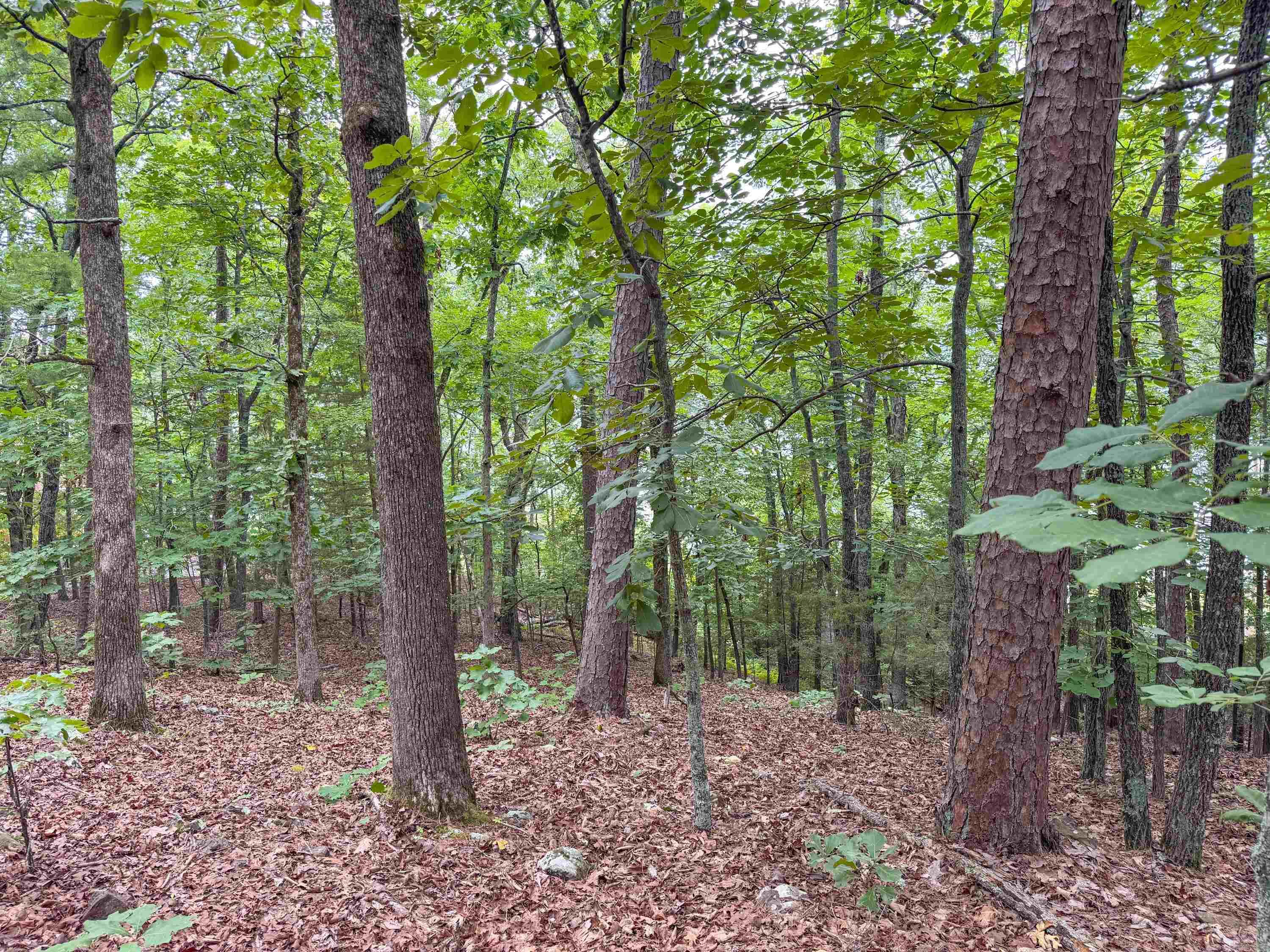 Diamond Bluff Lakefront - Land