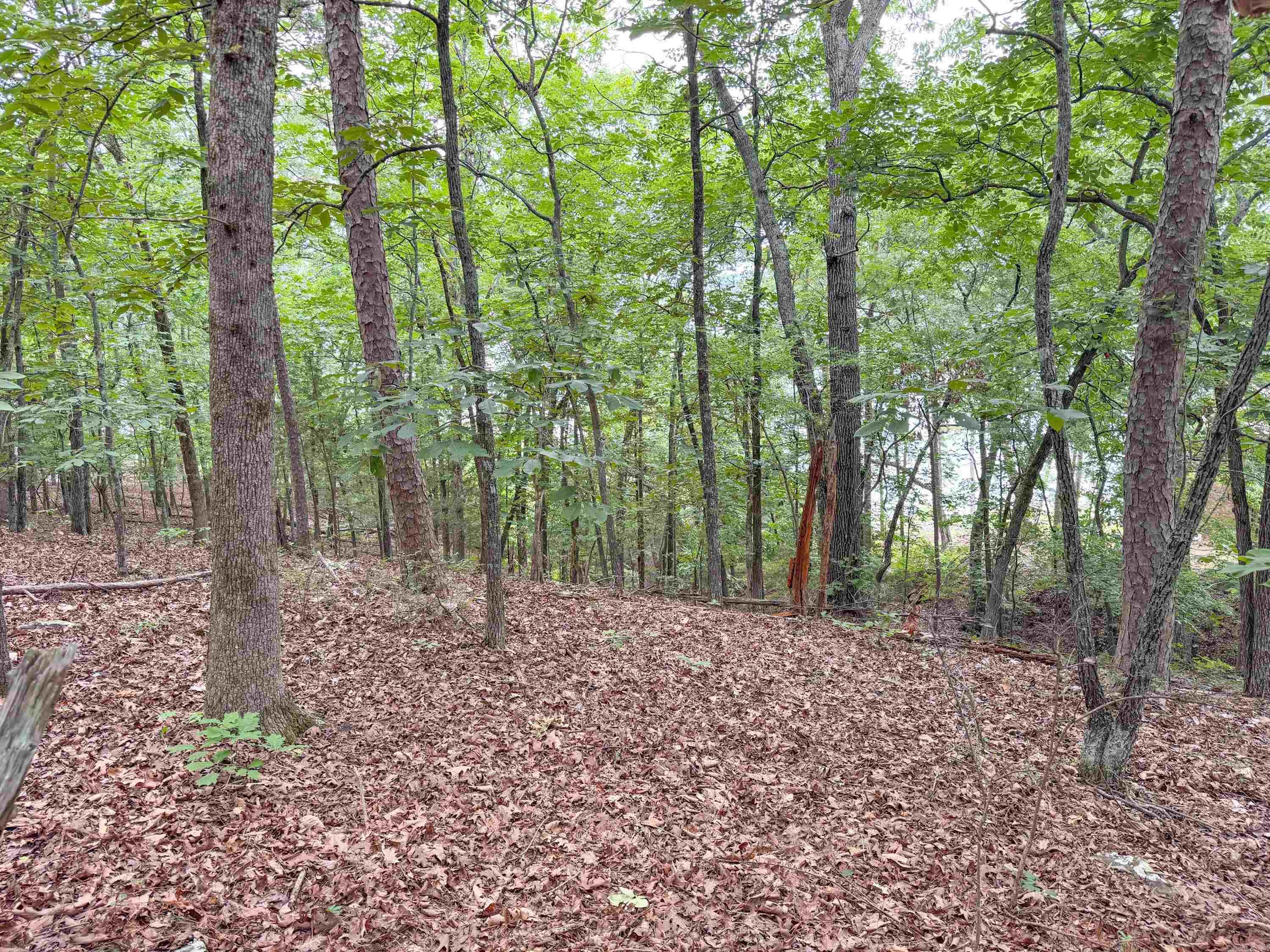 Diamond Bluff Lakefront - Land
