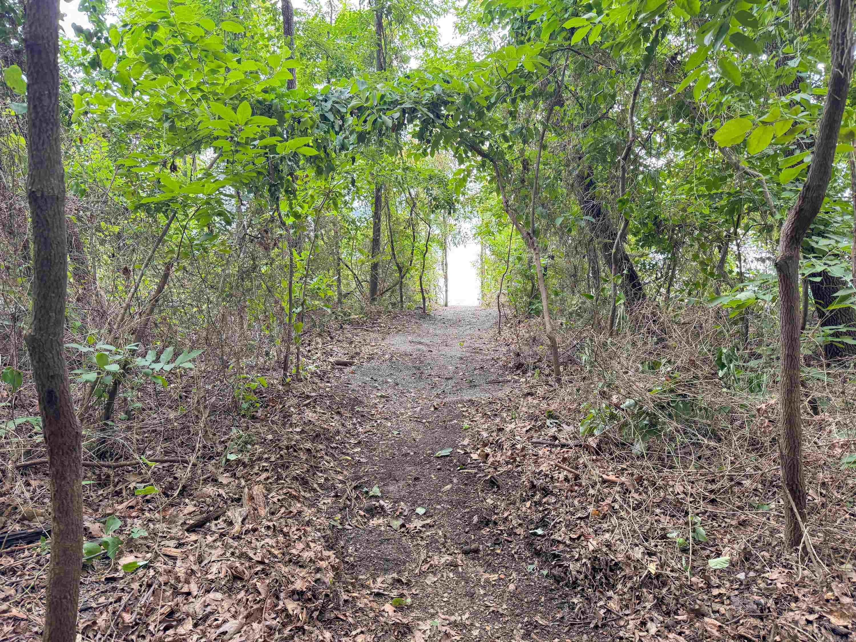 Diamond Bluff Lakefront - Land