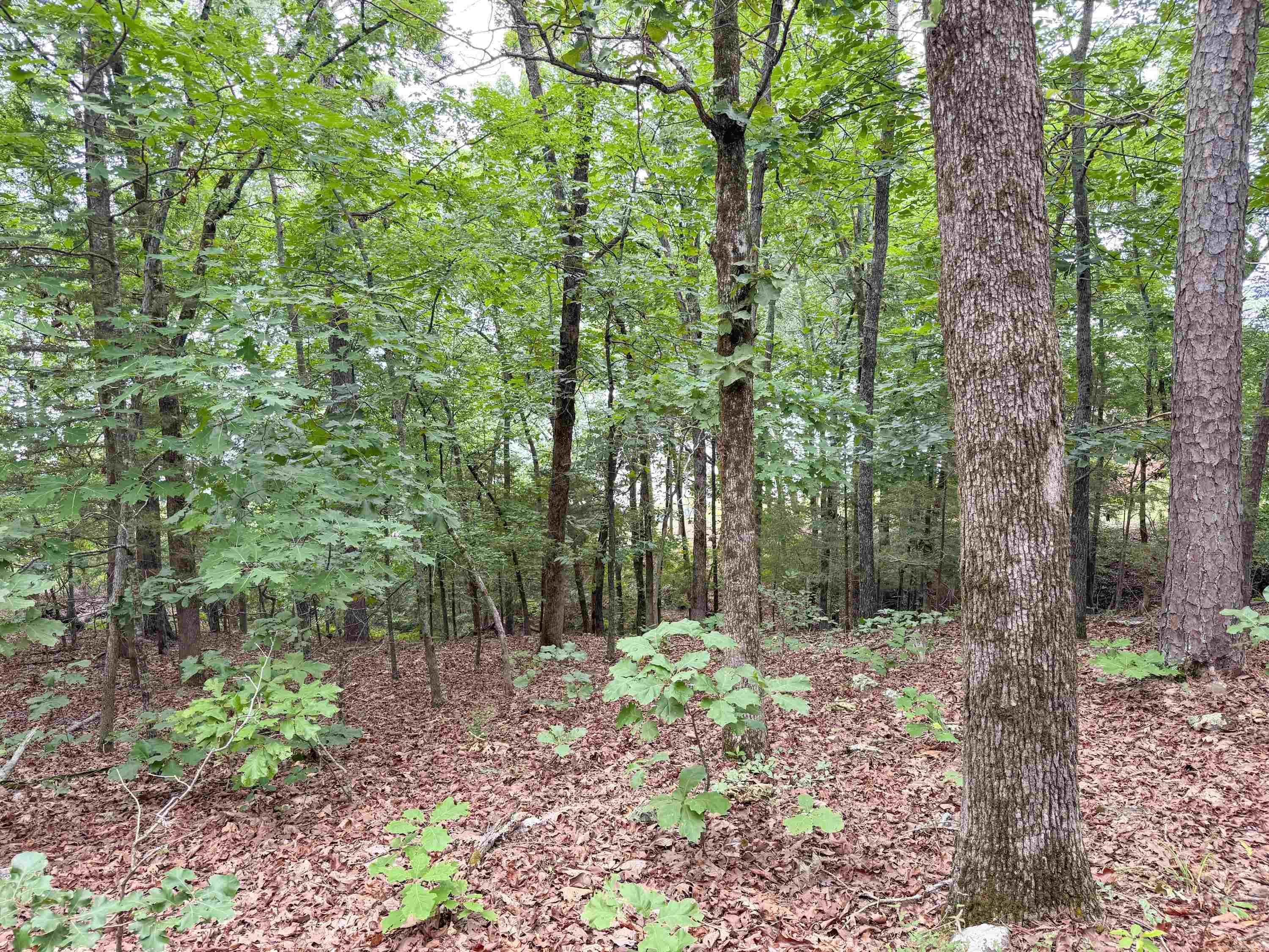 Diamond Bluff Lakefront - Land