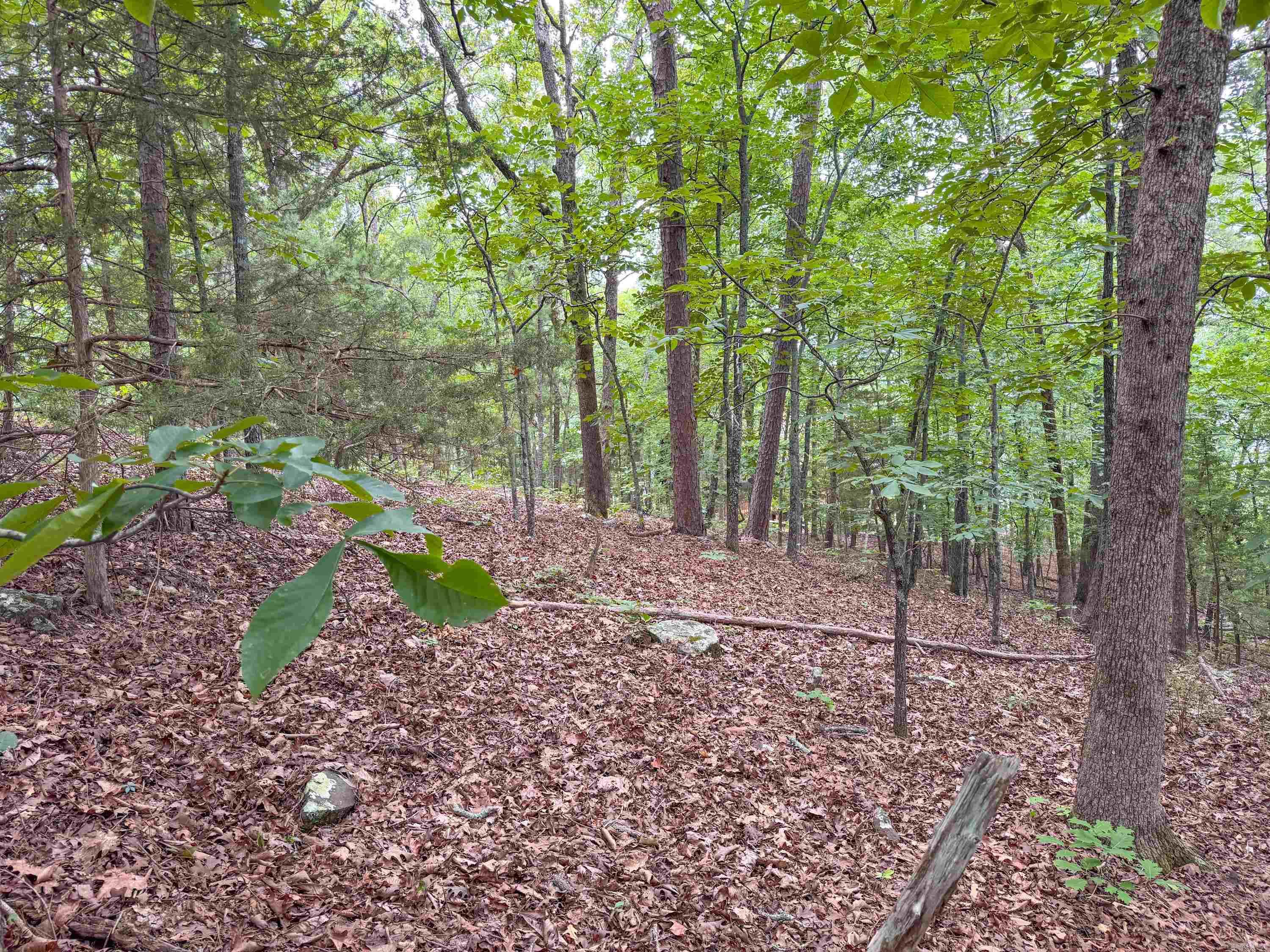 Diamond Bluff Lakefront - Land