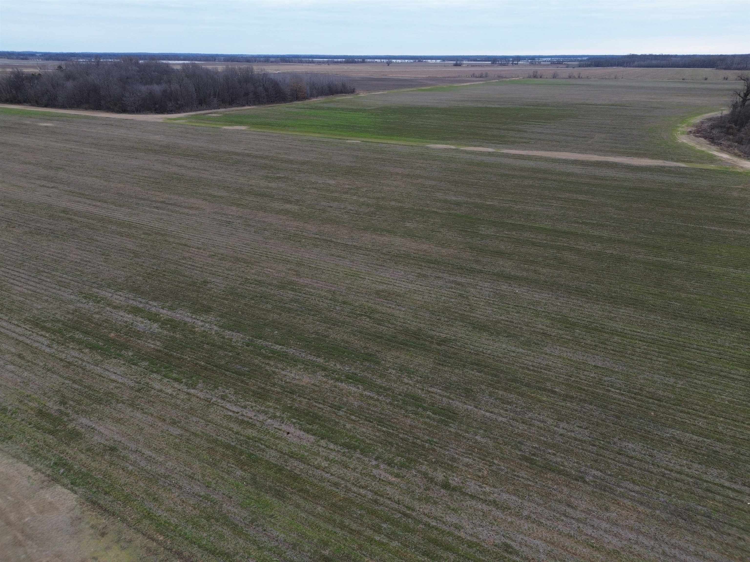 Lincoln - Farm