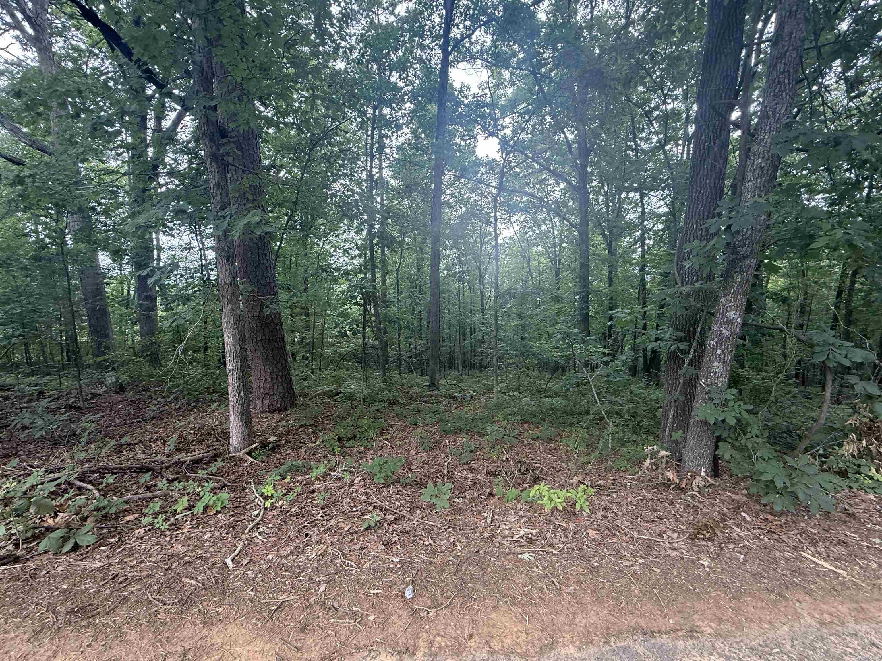 South Shores Park - Land