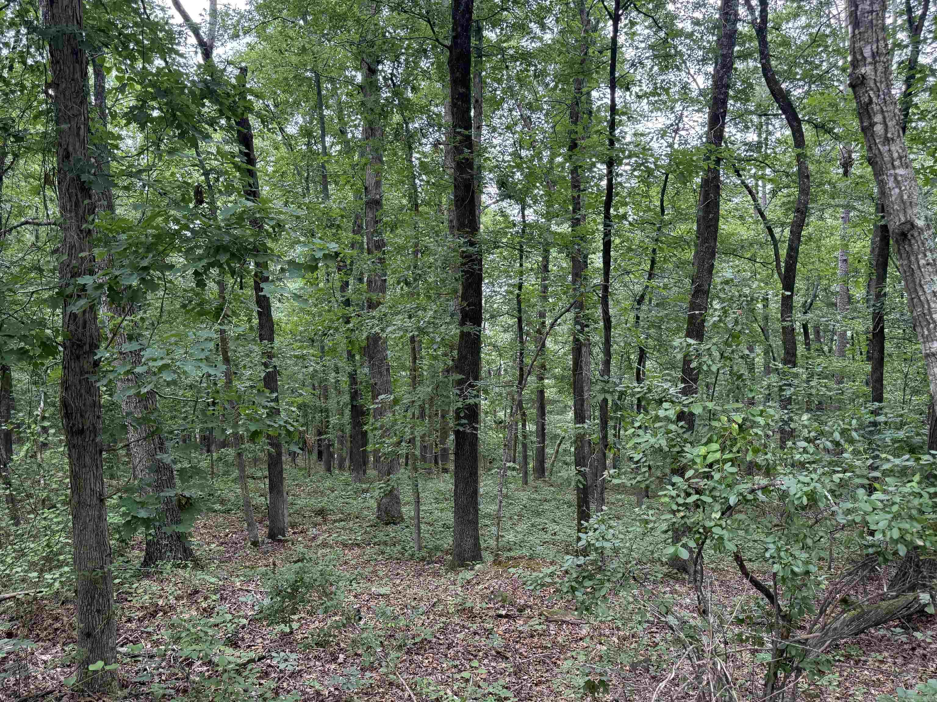 Build your dream house with a view on this beautiful lake view lot, located in South Shores Park in Heber Springs on Greers Ferry Lake.  This is lot 166 and it is approximately 150 ft wide and 250 ft deep on almost a Quarter acre.00  0.21 acre