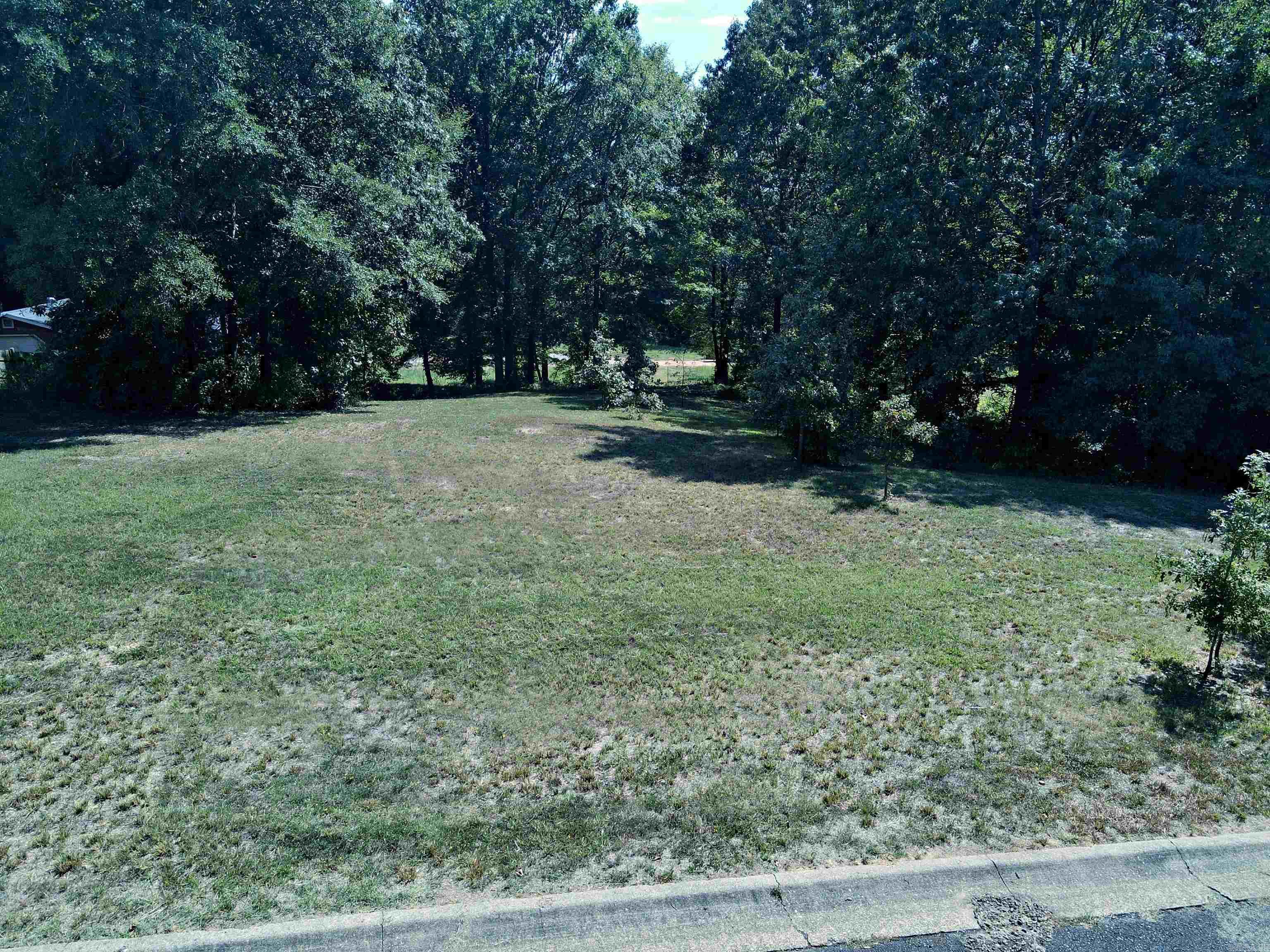 Check out this Fantastic Lot just waiting for your Forever Home to built on. Or if a contractor and looking to build a Great Home in Arkadelphia, come see for yourself what this spacious lot in a great area has to offer. .45 Acres located in the heart of Arkadelphia. In City Limits but feels like Country Living.