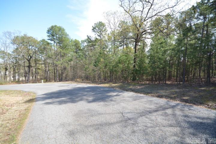 Maxines Replat of Mills Mountain - Land