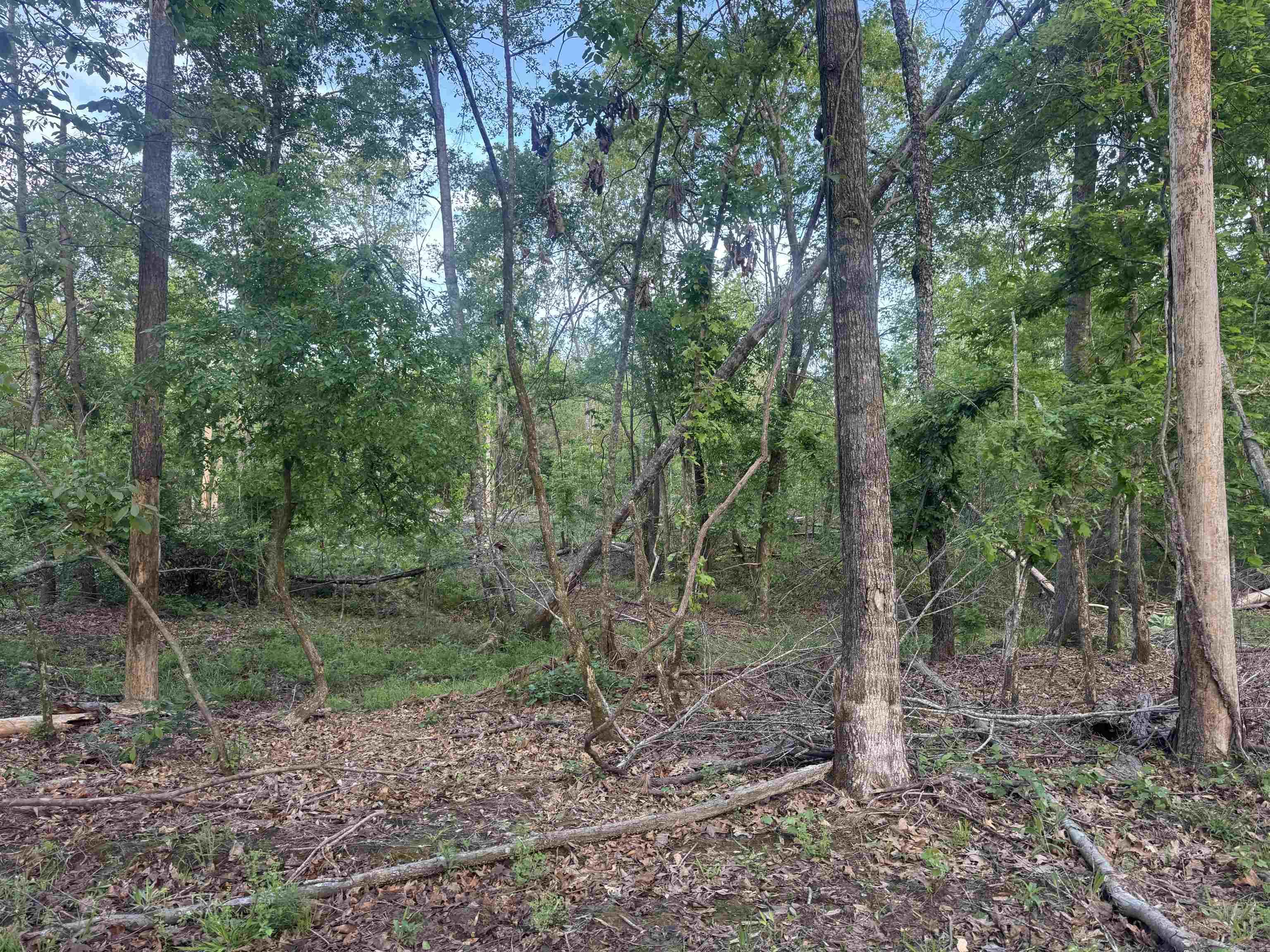 Not in Subdivision - Land