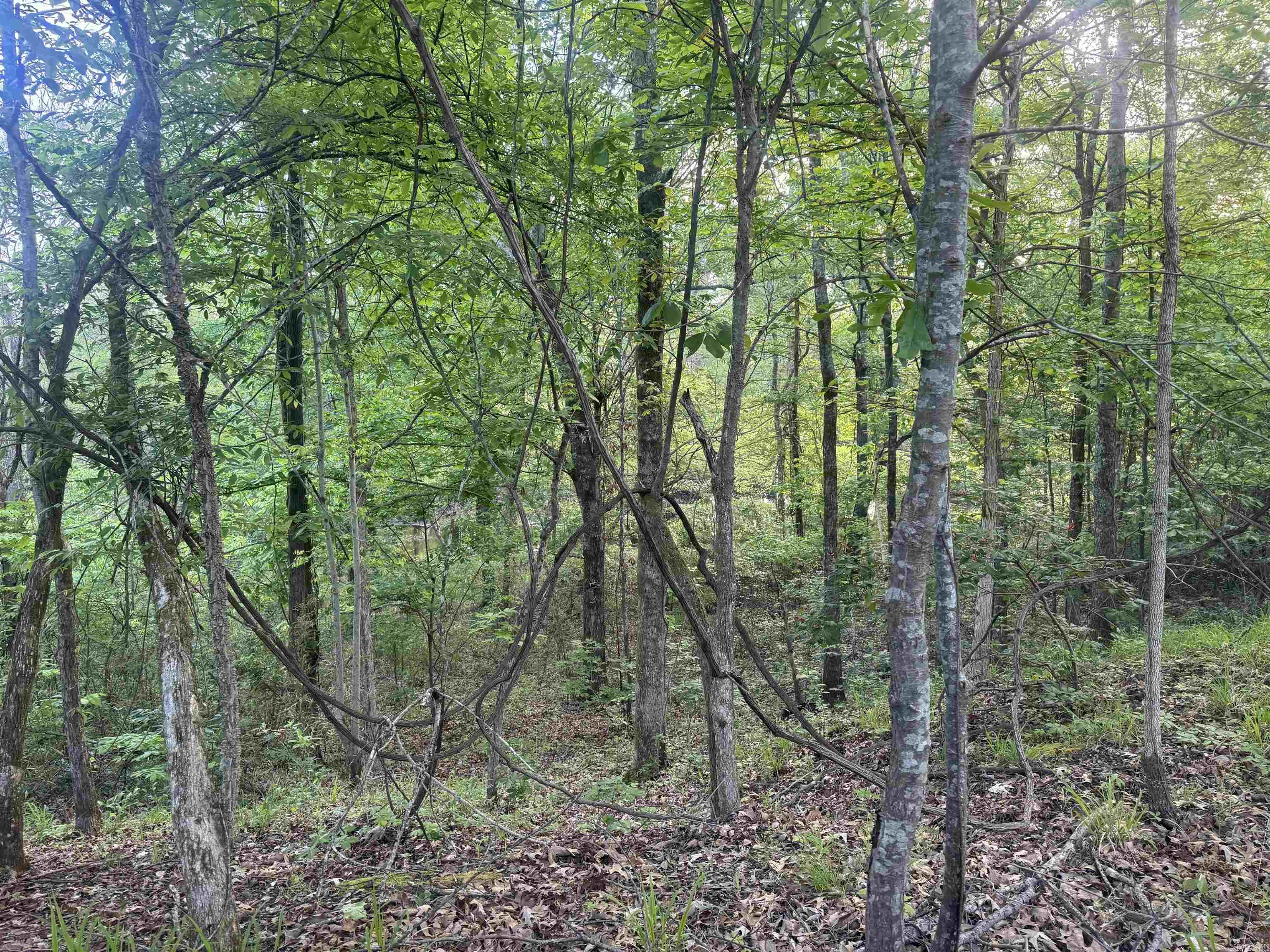 Not in Subdivision - Land