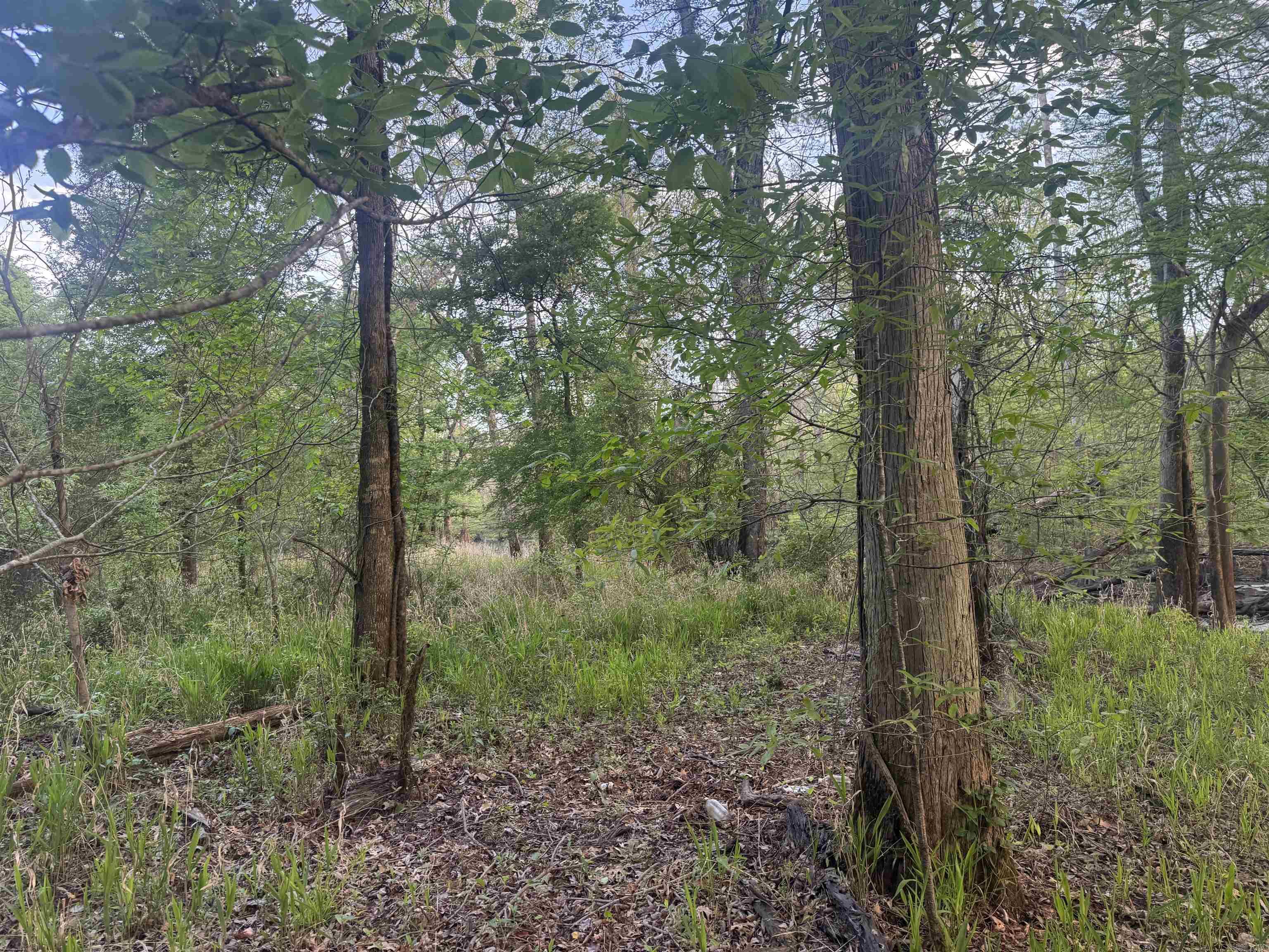 Not in Subdivision - Land