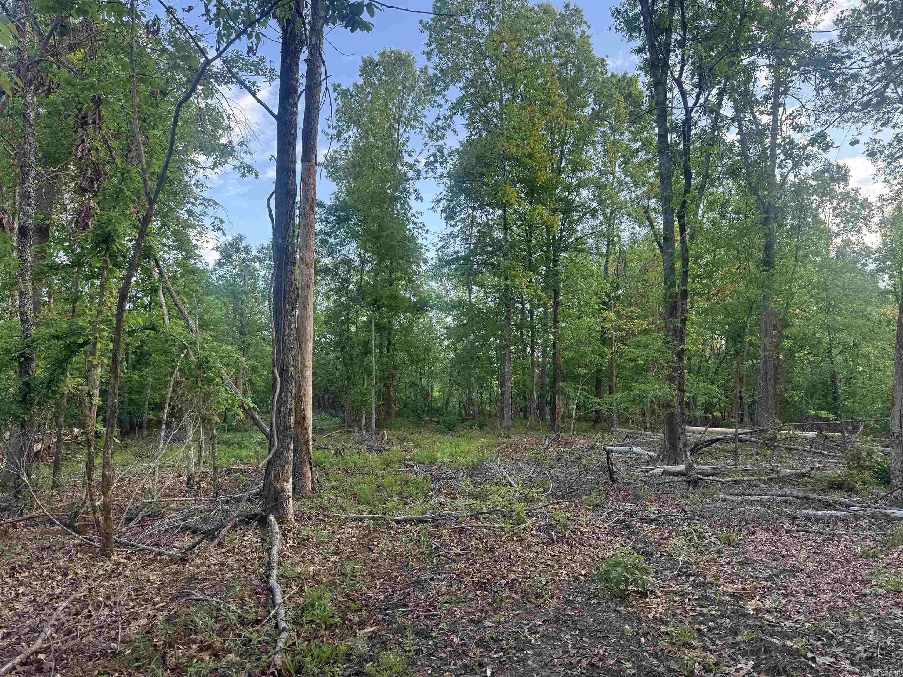 Not in Subdivision - Land