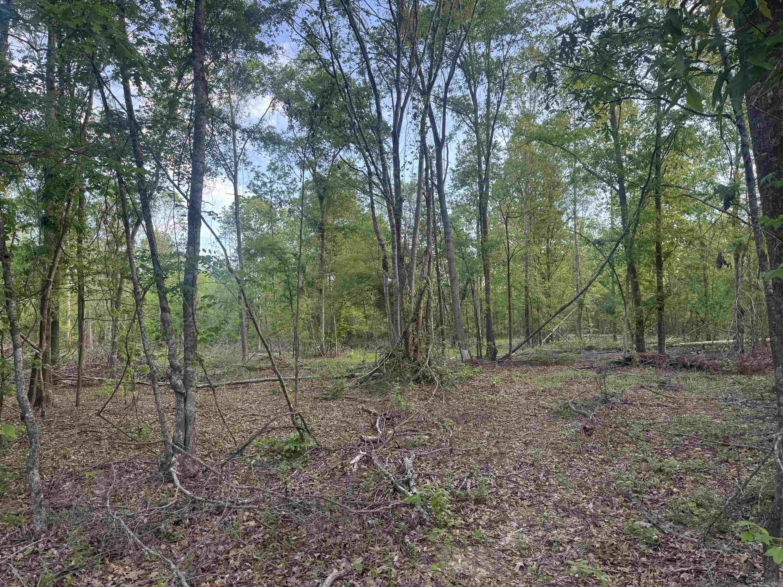 Not in Subdivision - Land