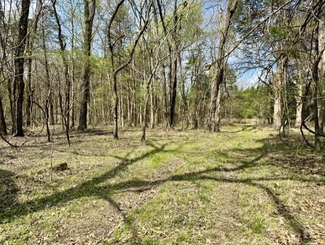 243 acres of wooded land for sale in Strawberry, Arkansas offered at $999,000 with excellent potential for one or more poultry farm operations. A county-maintained gravel road runs through the property, naturally dividing it for multiple farm sites or future development. The land is gently rolling with several established ATV trails, a seasonal creek, and small open areas suitable for building or farm use.  This property is ideal for poultry farms, hunting land, or a large recreational tract with privacy and room to grow. Abundant wildlife makes it a strong hunting property, while the trail system allows easy access throughout.  Located just 1.5 miles off the highway and only 3 miles from Strawberry, with convenient access yet a private setting. Within 10 minutes of the Strawberry River, adding to the outdoor appeal.  Whether you’re looking to develop poultry operations, invest in land, or own a large tract for recreation, this property offers versatility, access, and opportunity.