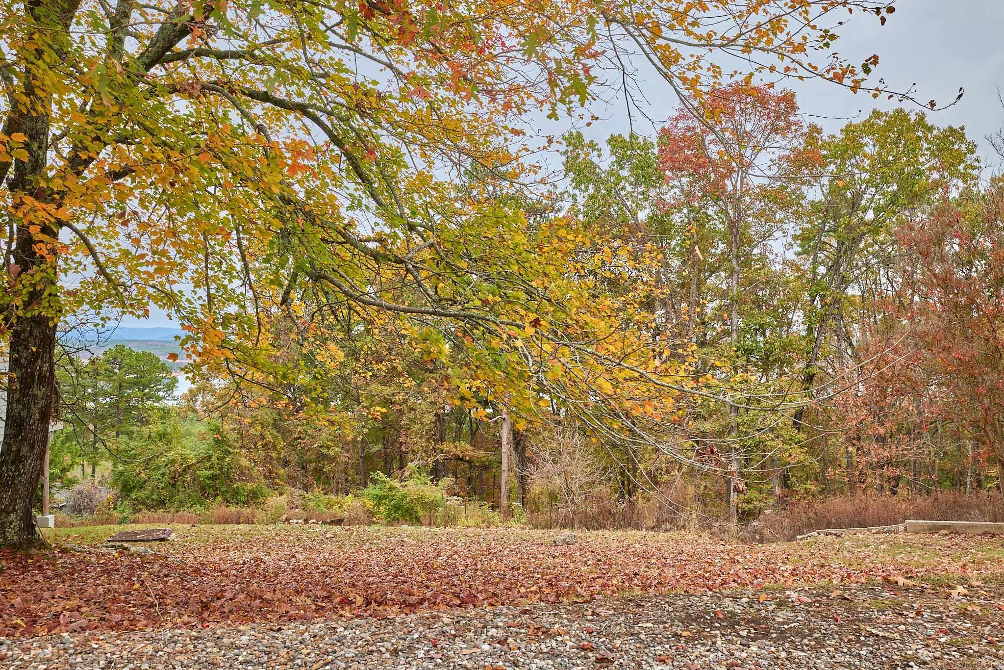 DIERKS FORESTS - Residential