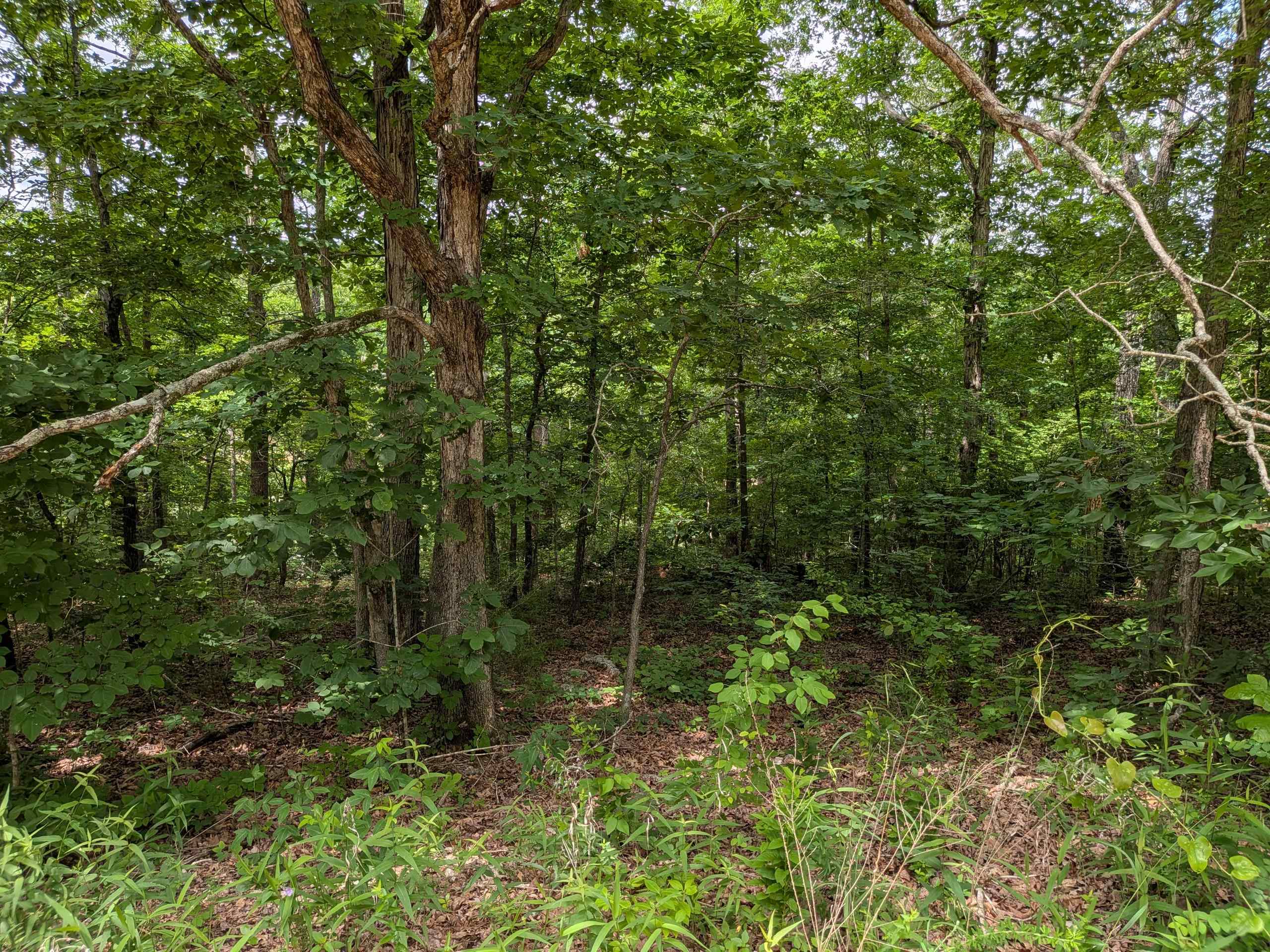 East Lakeshore - Land