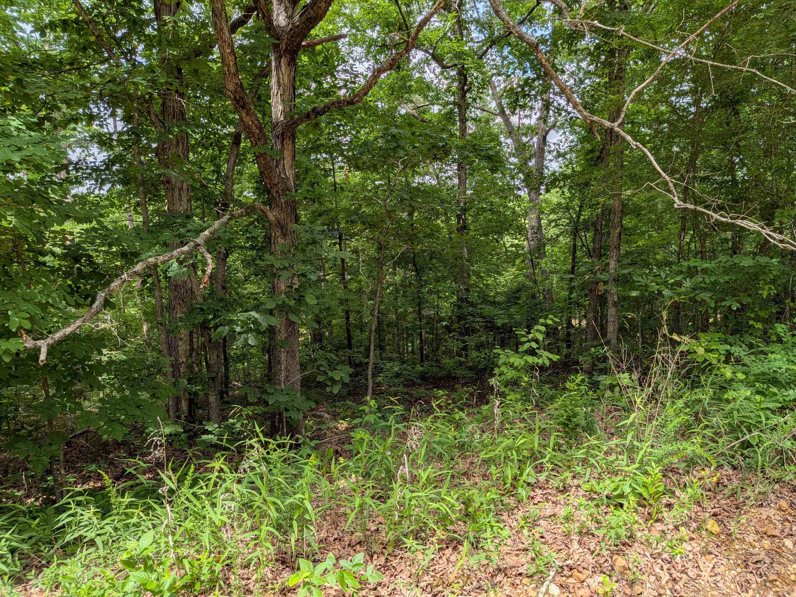 East Lakeshore - Land