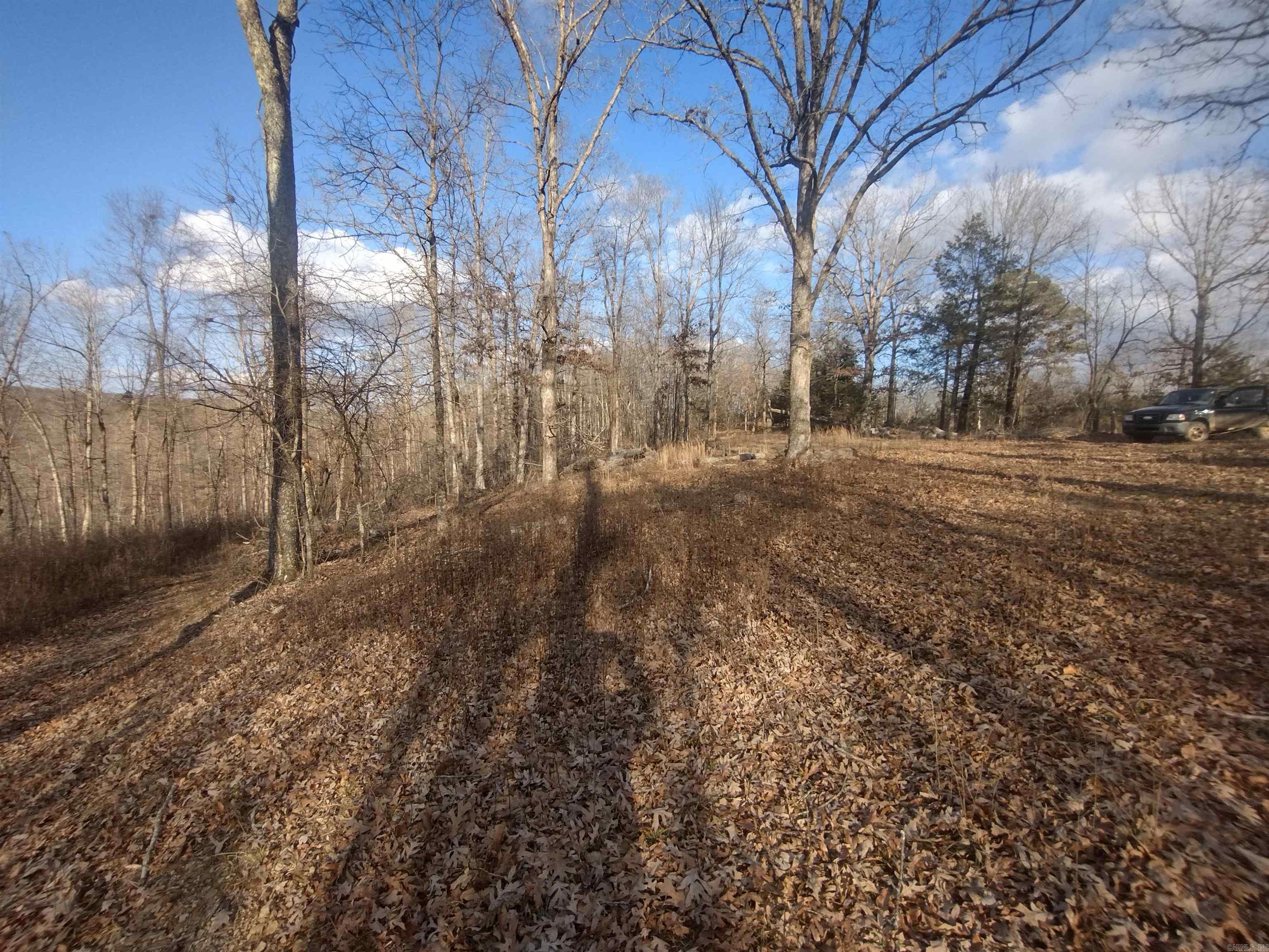 Take a look at this incredible property just outside Mountain View AR. Great building sights high and a little lower for more privacy but both have incredible views property has fire lane around exterior just off paved highway lots of wildlife whether you're to looking for a place to build your forever home of a getaway cabin to relax this is excellent property power and water at front of property.