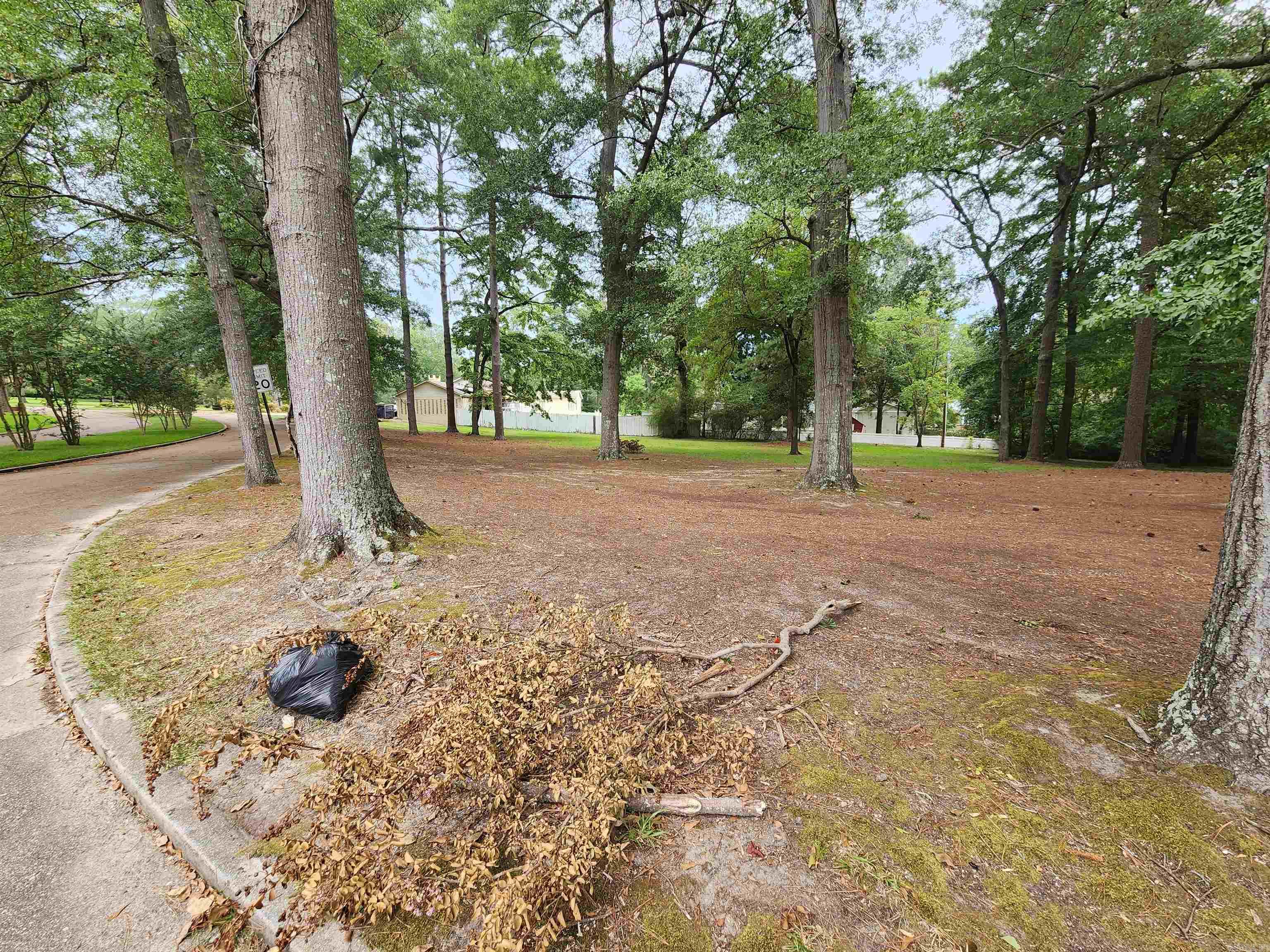 COUNTRY CLUB COLONY - Land