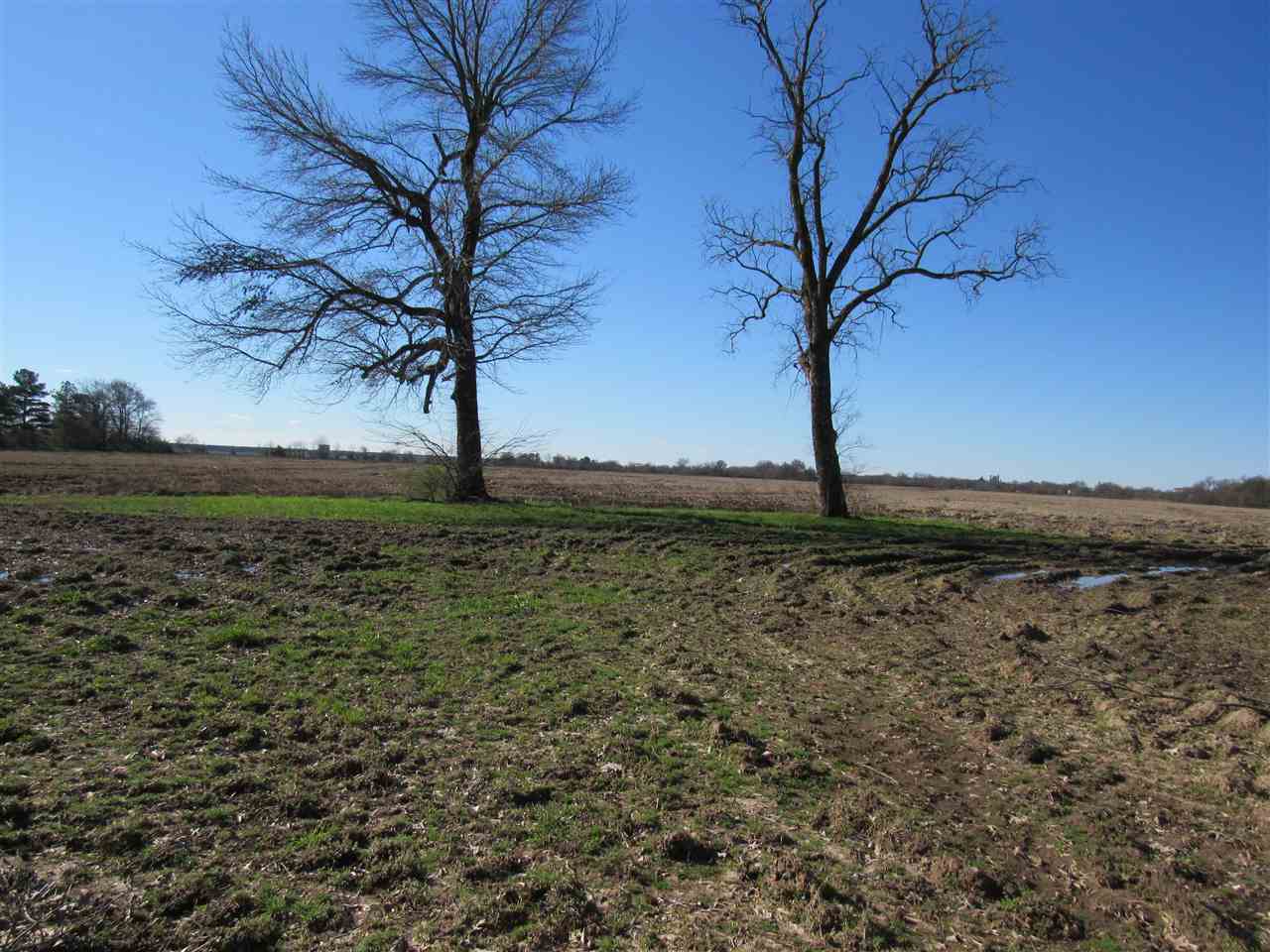 Metes & Bounds - Farm