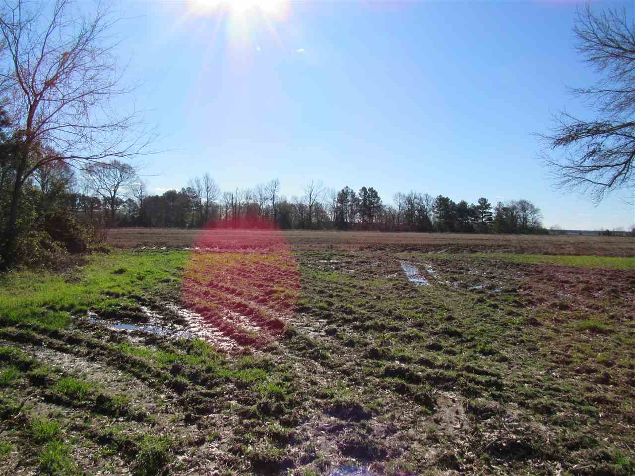Metes & Bounds - Farm