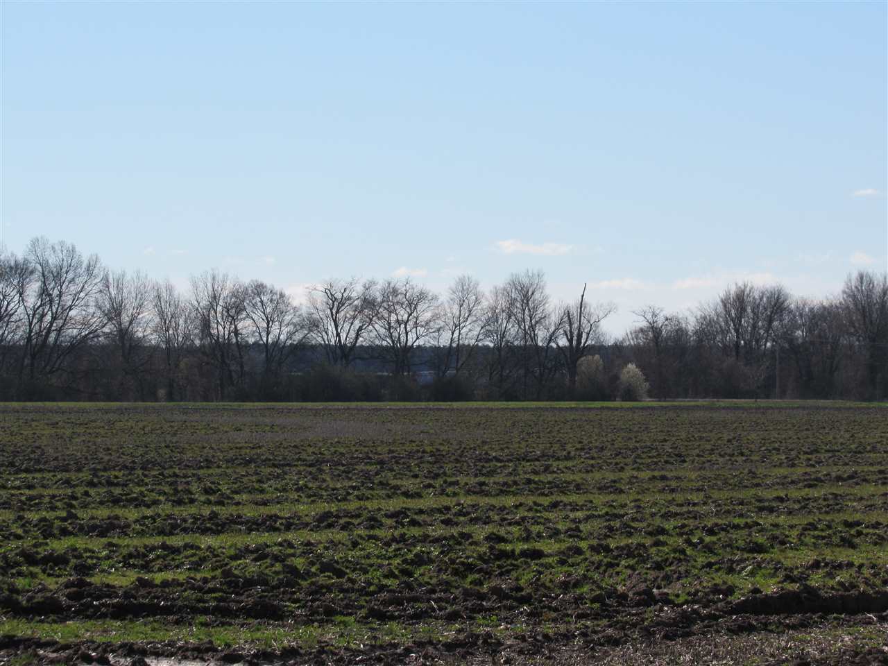Metes & Bounds - Farm