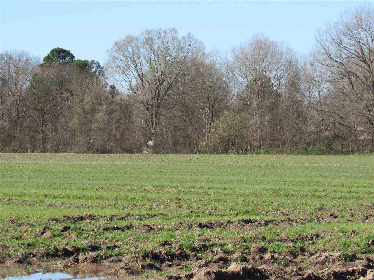 Metes & Bounds - Farm