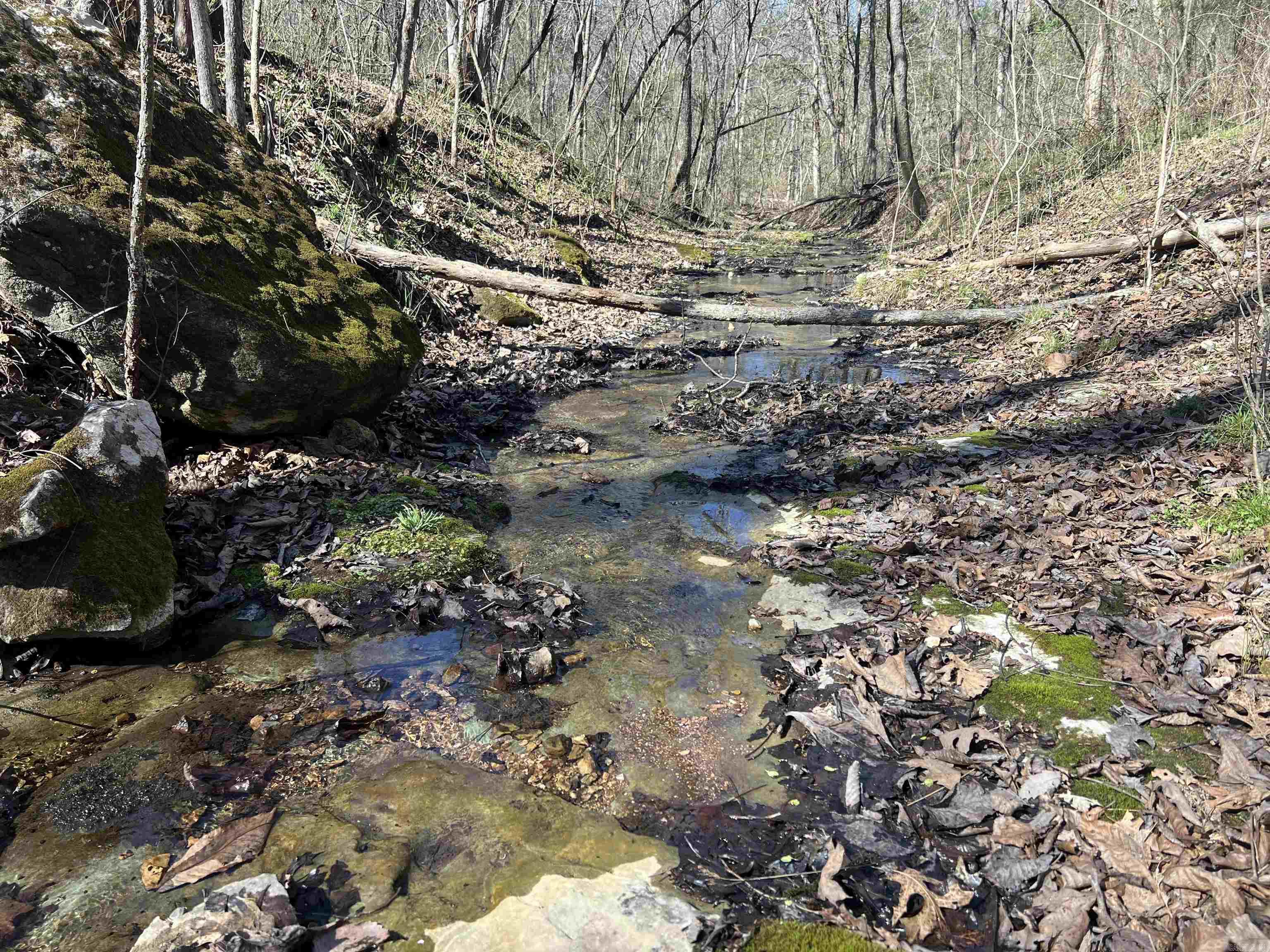 This beautiful 10± acre property sits just a half mile from the Buffalo National Park, offering the perfect blend of privacy and outdoor adventure. A peaceful creek winds through the land, creating a scenic setting ideal for a cabin, weekend retreat, or full-time home. With electric and high-speed fiber internet already available on the property, you can enjoy modern conveniences while surrounded by the natural beauty of the Ozarks. Whether you’re looking for a quiet getaway, a place to build, or a base camp for exploring the Buffalo River area, this property offers an incredible opportunity in a truly special location.