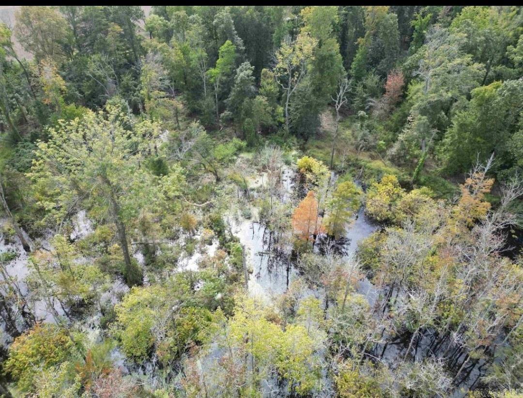 MUST SEE! Don't let this opportunity pass you by. 40+/- acres on Big Creek is hard to come by!  Roughly 1/2 of the property hosts flooded cypress and the other 1/2 forest. Sprawling trees, beautiful water and abundant wildlife makeup this gorgeous property. Excellent opportunity for duck and deer hunting. Recent upgrades to the property include:  - 30ft culvert and gravel drive for easy access - 40ft shipping container has been placed and leveled to add secure storage and the possibility for future on site lodging - Trails have been cleared throughout the property - Newly constructed duck blind There is a kayak on site for exploration.  There’s lots to love about this great piece of the natural state!