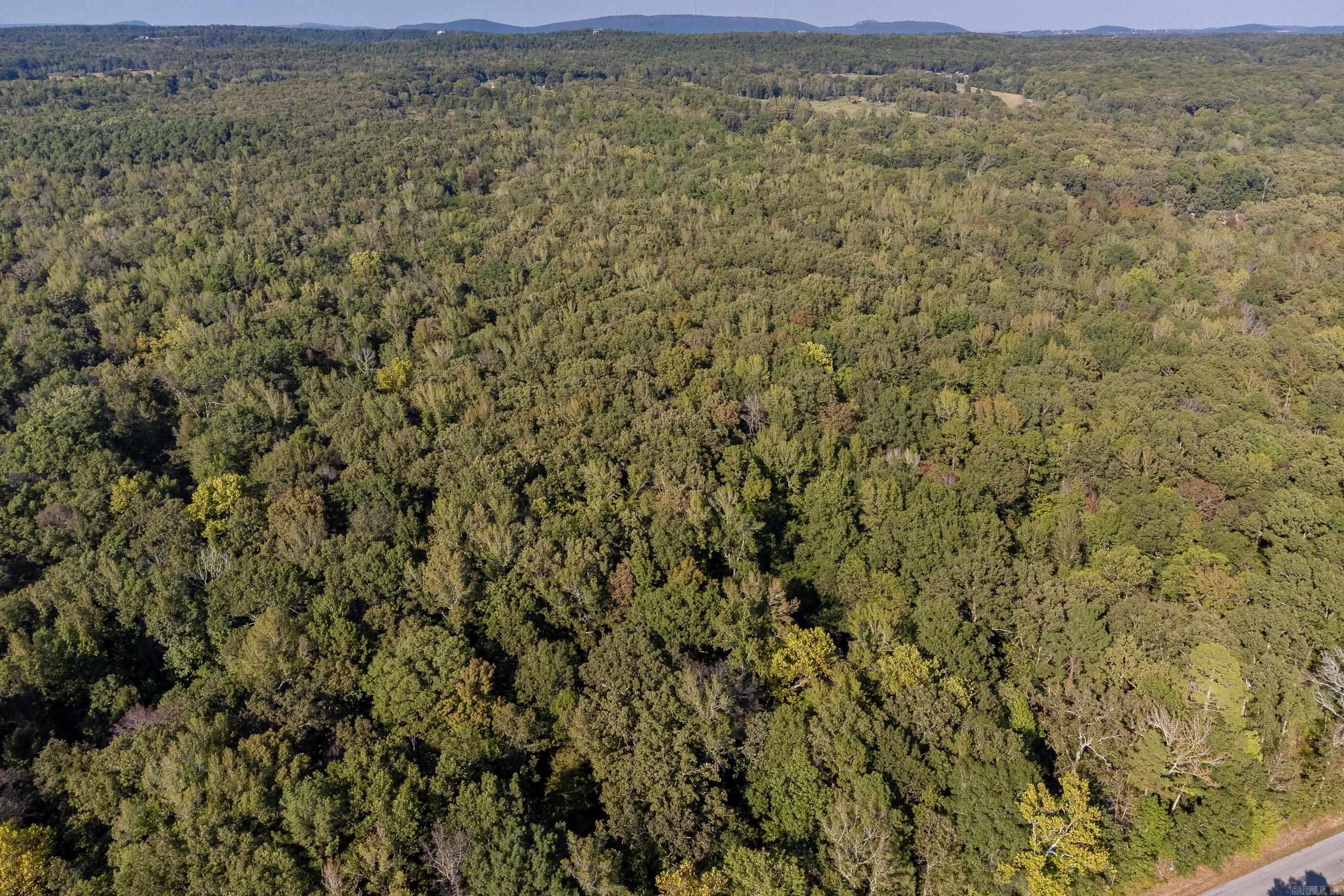 Flat and wooded lot minutes from town with access from both Faulkner Road and Barry Lane. 50 foot building setback from Faulkner Road, 35 foot right-of-way, 10 foot utility easement. Simple Bill of Assurance with the lot which does not allow mobile homes and driveway requirement of 225 from lot 6. City water located on Faulkner Road.  Located 12 minutes from Chenal Parkway/Rahling Road & 15 minutes from Interstate 430. See associated documents for survey, bill of assurance and final plat.