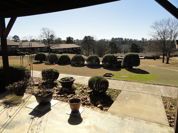 Immaculate condo with NO STEPS!!! Recently updated throughout.  This great unit features 2 covered patios and nice views of the grounds and scenery!! The nicest condo in Oaklawn Village!!! Covered Parking and convenient to everything!!!