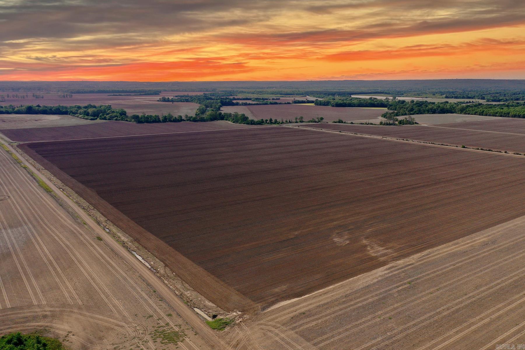 Located just 3 miles from Bradford, this highly productive 368 +/- acre farm offers a strong combination of income potential and recreational appeal. With approximately 80% of the acreage precision leveled, the property is well-suited for efficient row crop production and has a solid history of rice and soybean production. Two irrigation wells support the operation, and the farm benefits from good natural drainage, helping maximize productivity across seasons.  Positioned just a half mile from the White River, this tract sits in a proven agricultural area known for its consistent performance. Access is convenient from both the north and south sides, with frontage off L and D Wells Road to the north and established road access along the south boundary, making equipment movement and farm management straightforward.  Beyond its farming capabilities, this property is a standout recreational tract. Its proximity to the White River creates excellent habitat for wildlife, offering strong deer and duck hunting opportunities. Whether you’re looking to expand your farming operation or invest in a dual-purpose property with both income and recreation, this farm checks the boxes.